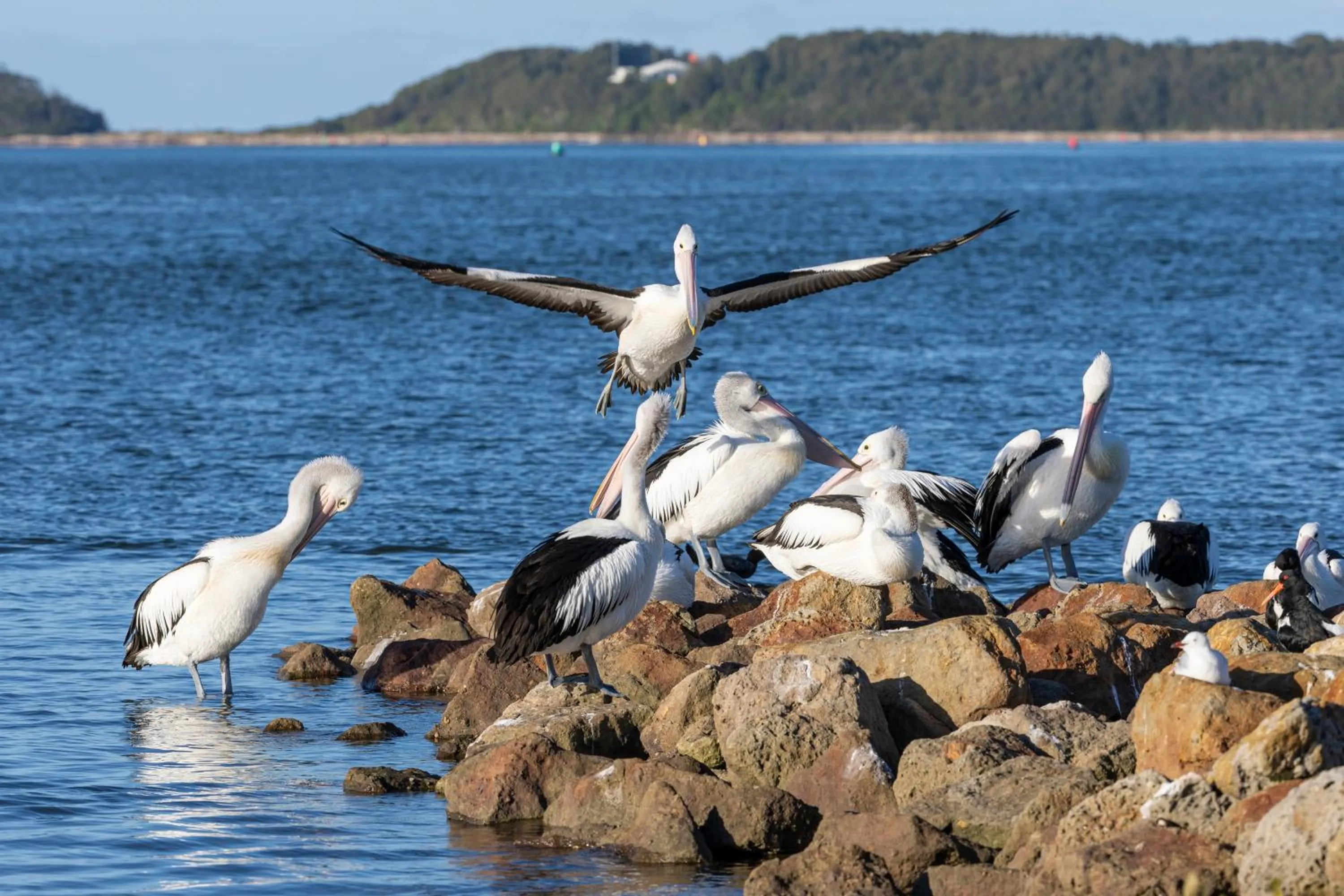 Day in South Coast Retreat