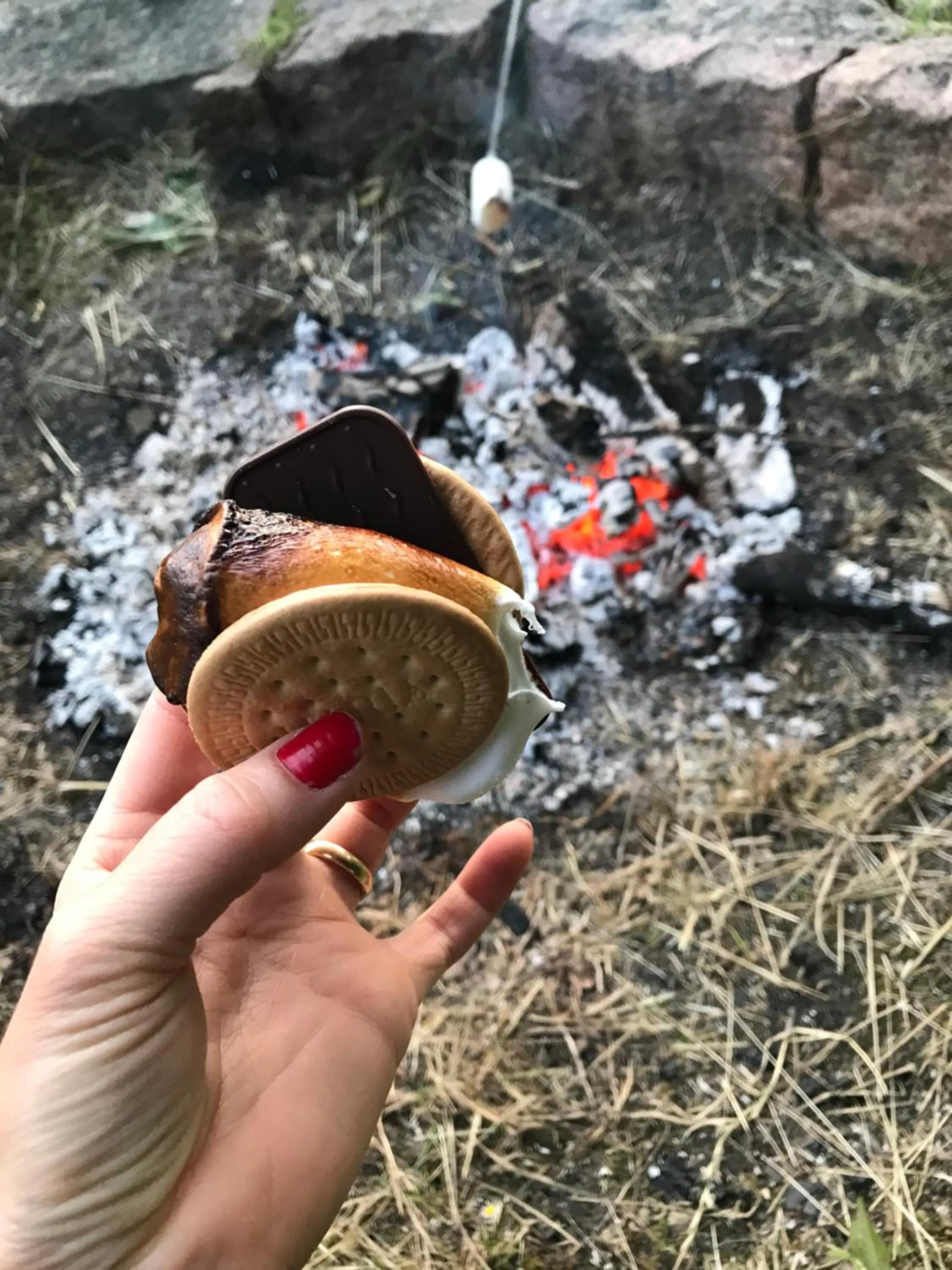 Bremsmaj Farm Holiday