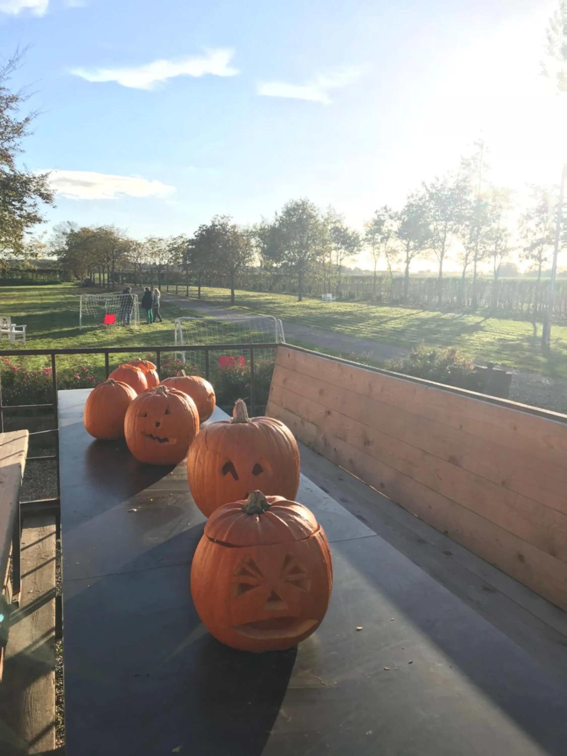 Bremsmaj Farm Holiday