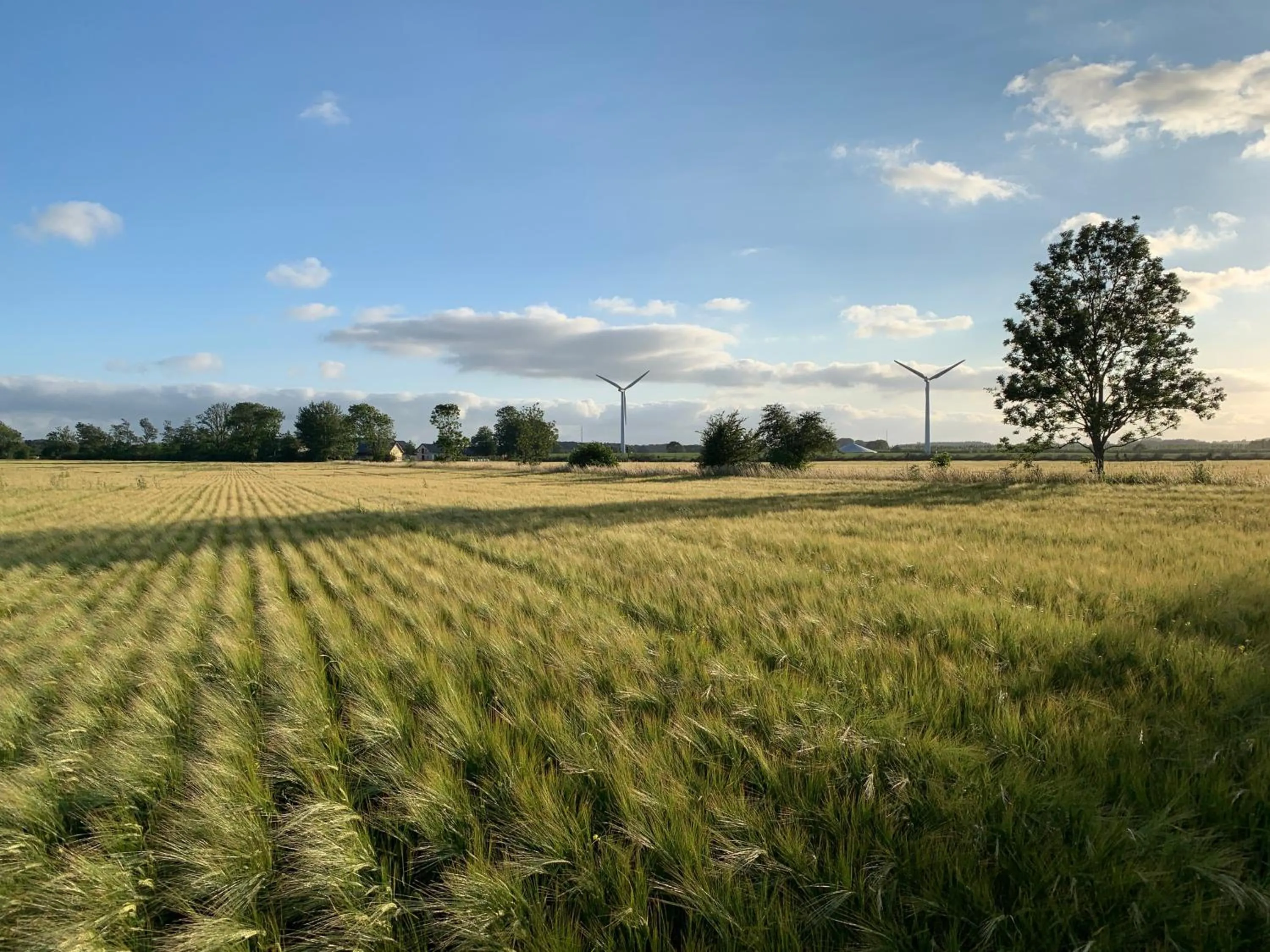 Day in Bremsmaj Farm Holiday