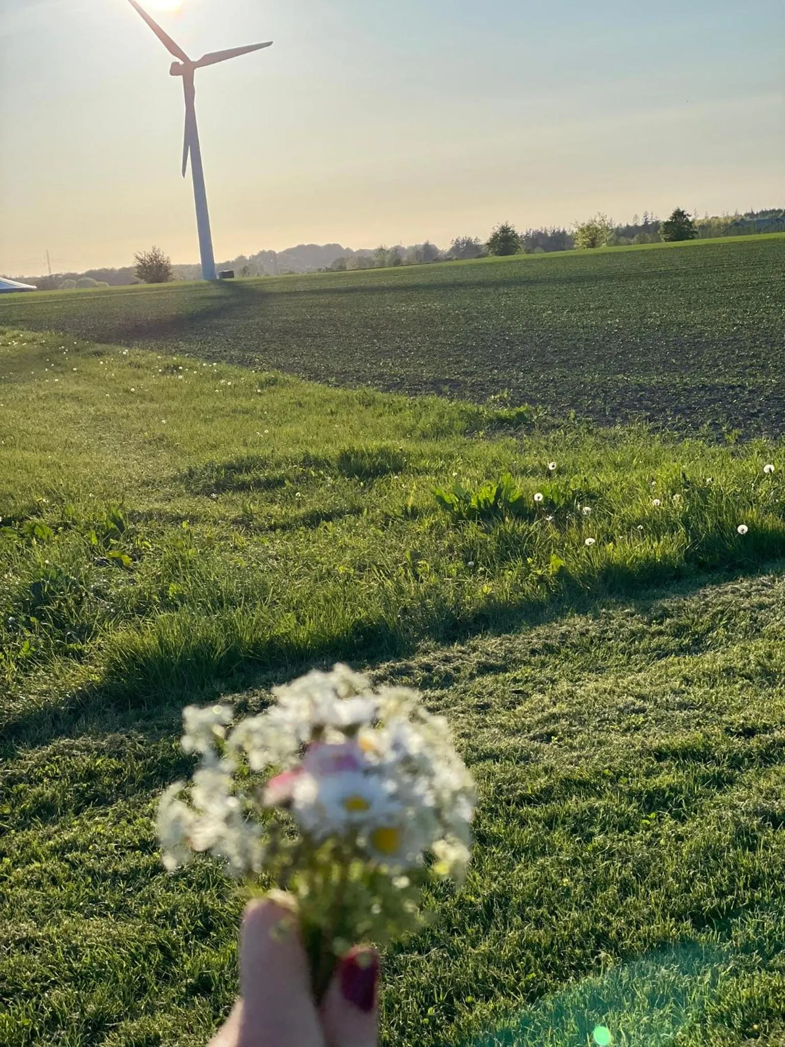 Bremsmaj Farm Holiday