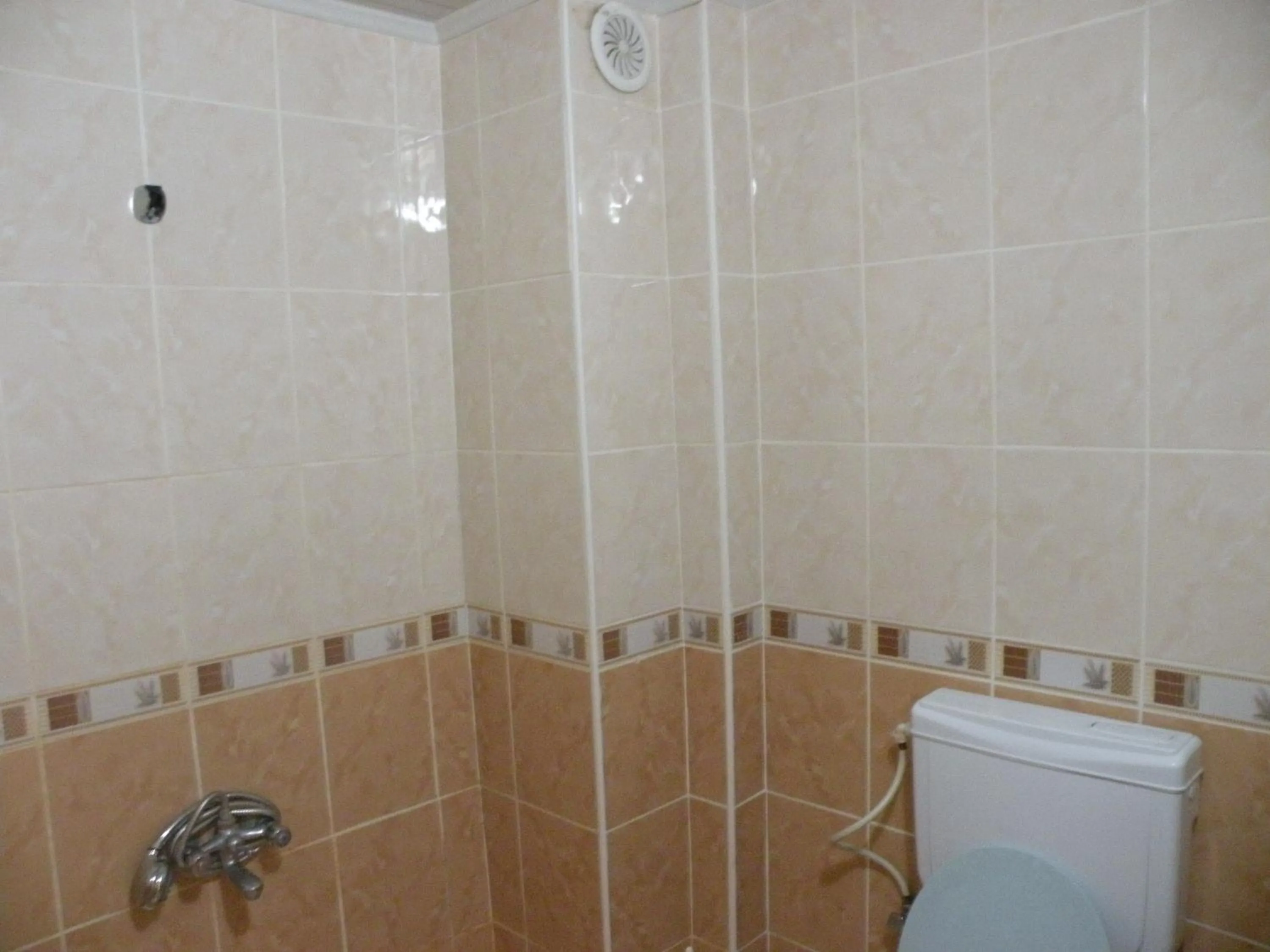 Toilet in Talaslioglu Hotel