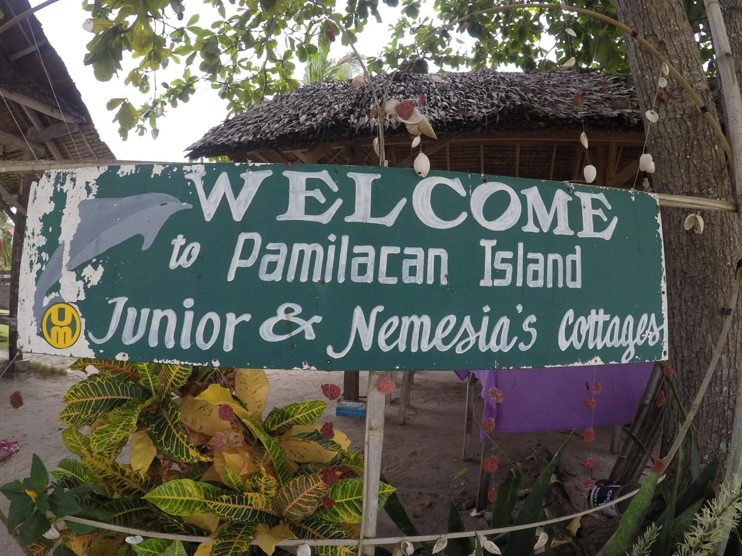 Junior & Nemesia's Cottages