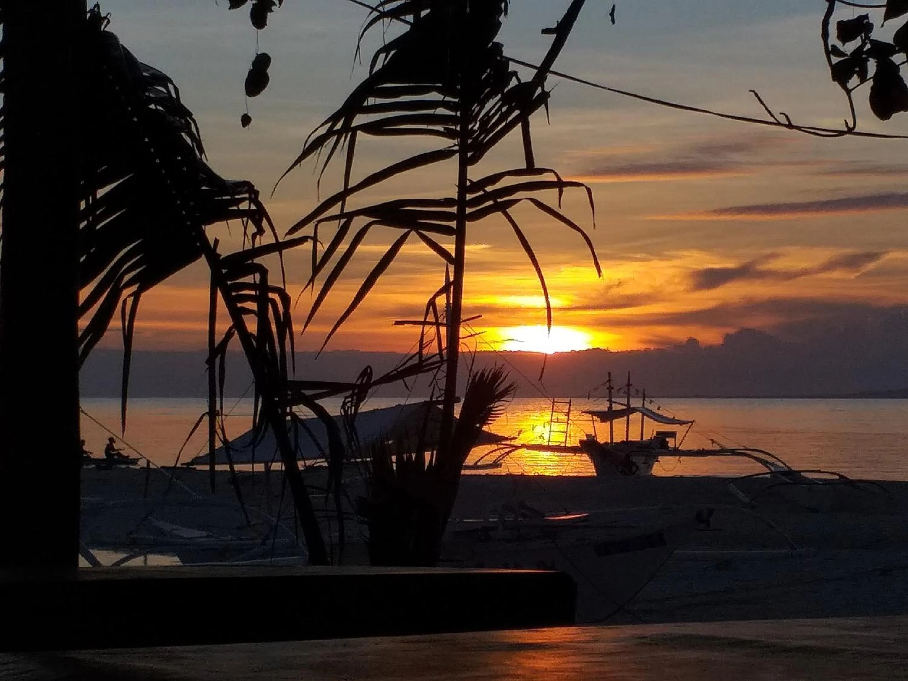 Junior & Nemesia's Cottages