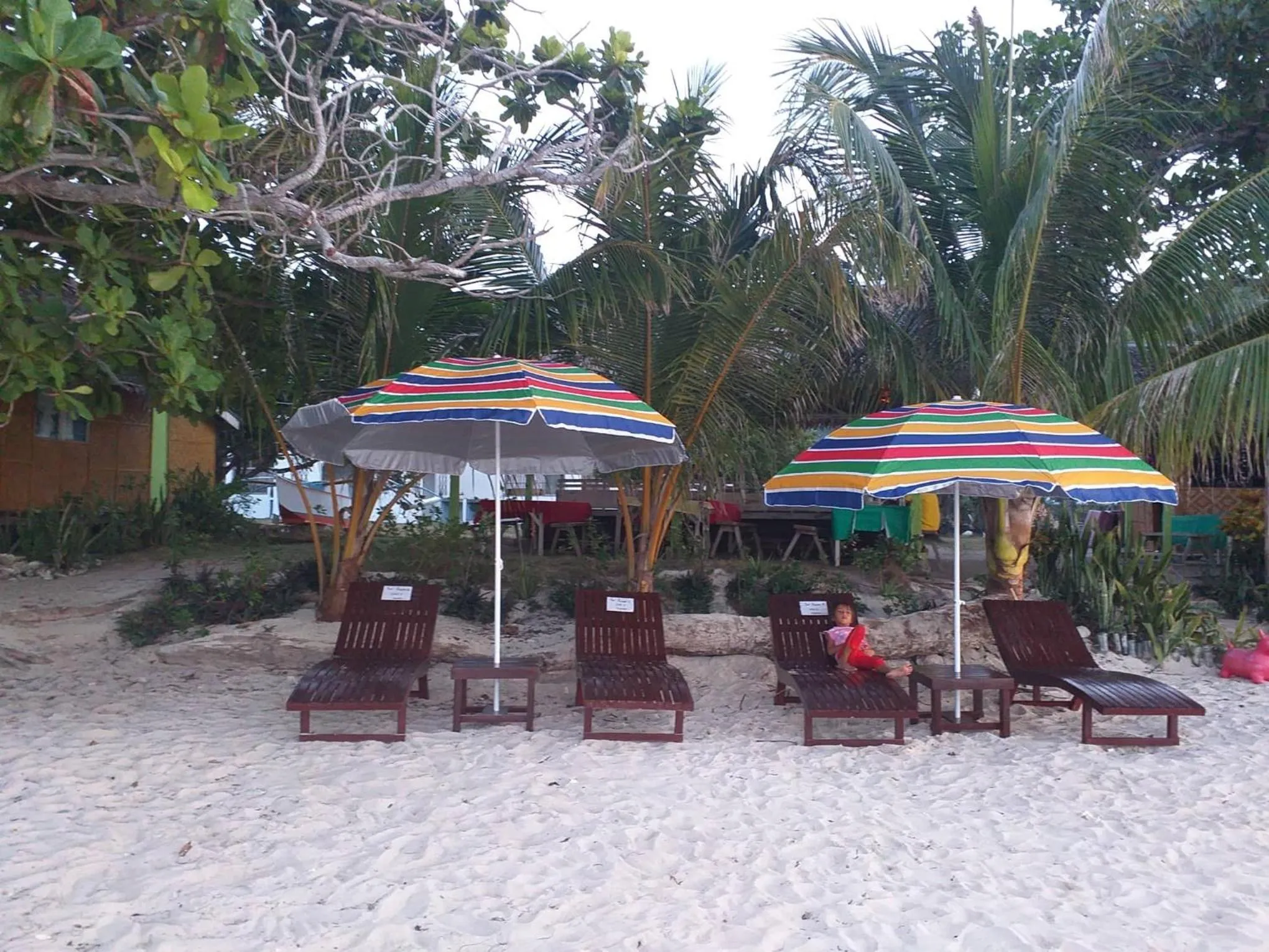 Junior & Nemesia's Cottages