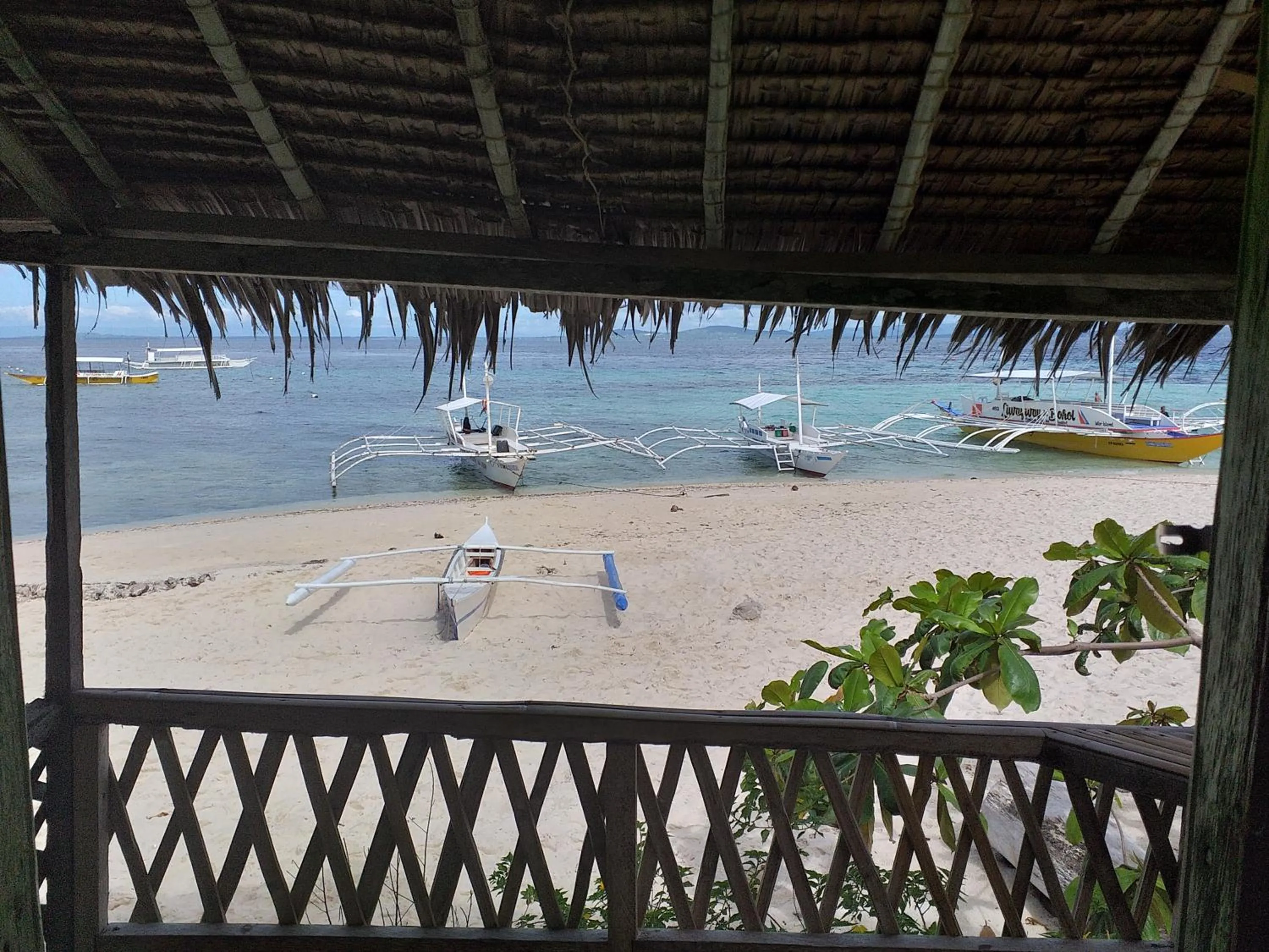 Junior & Nemesia's Cottages