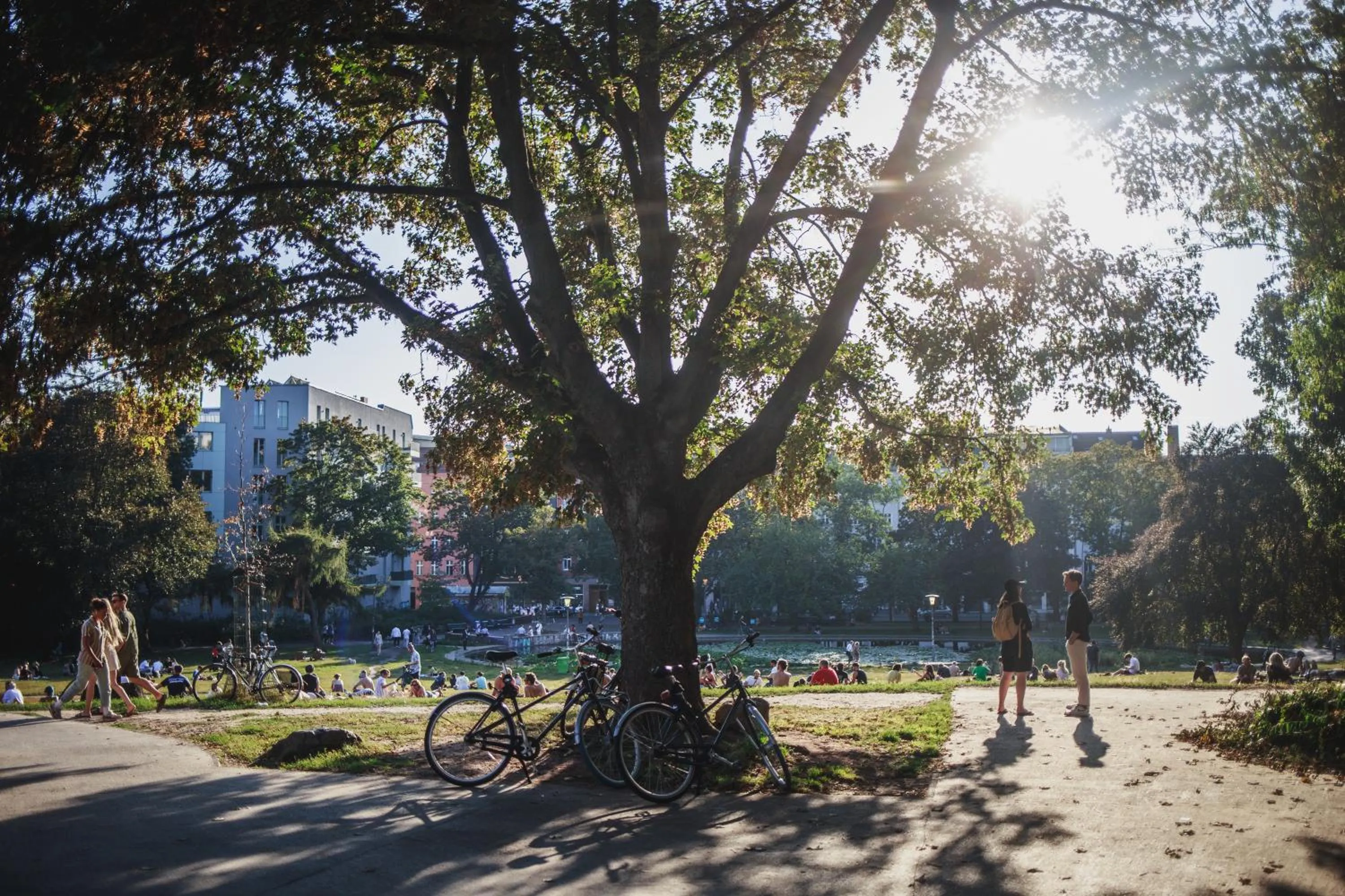 City view in The Circus Hostel