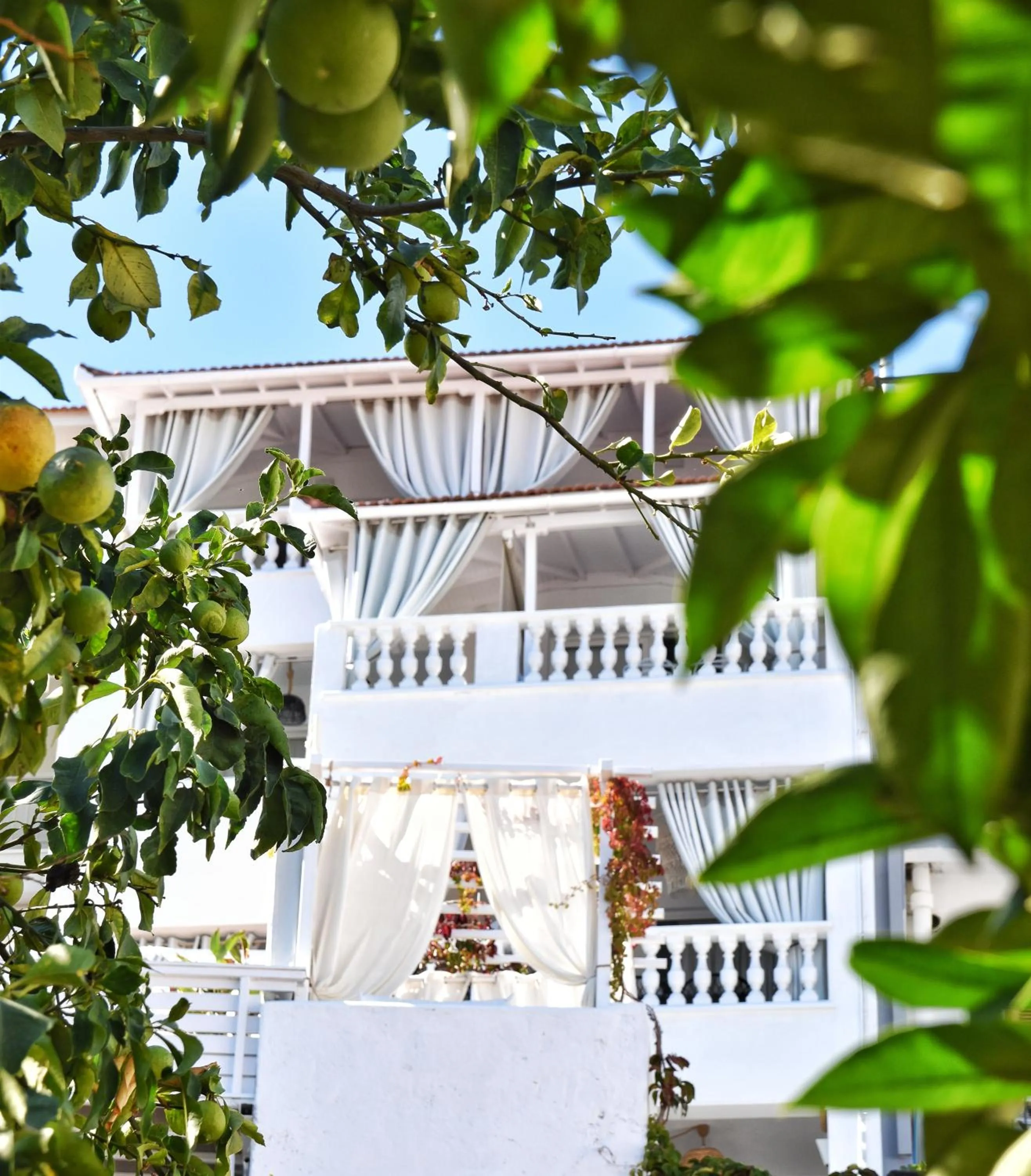 Property building in Angelos Design Suites