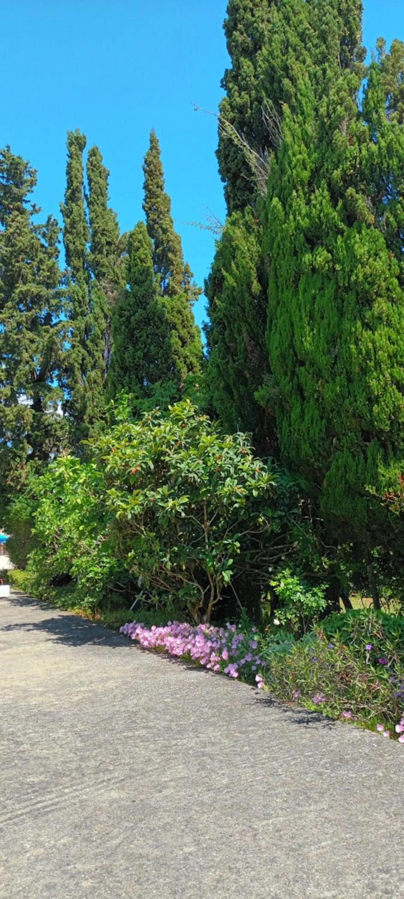 Natural landscape in Dimitra Apartments G