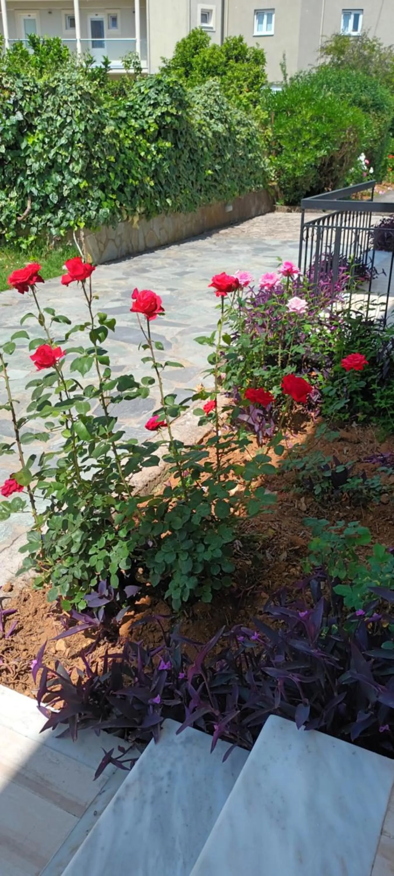 Garden in Dimitra Apartments G