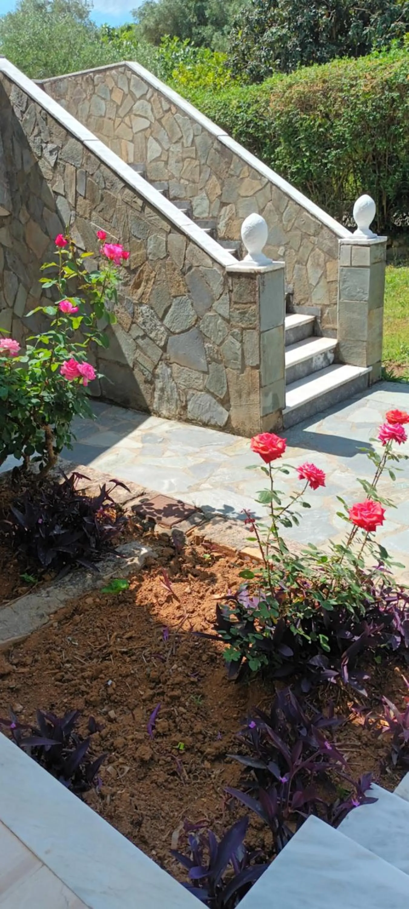 Garden in Dimitra Apartments G