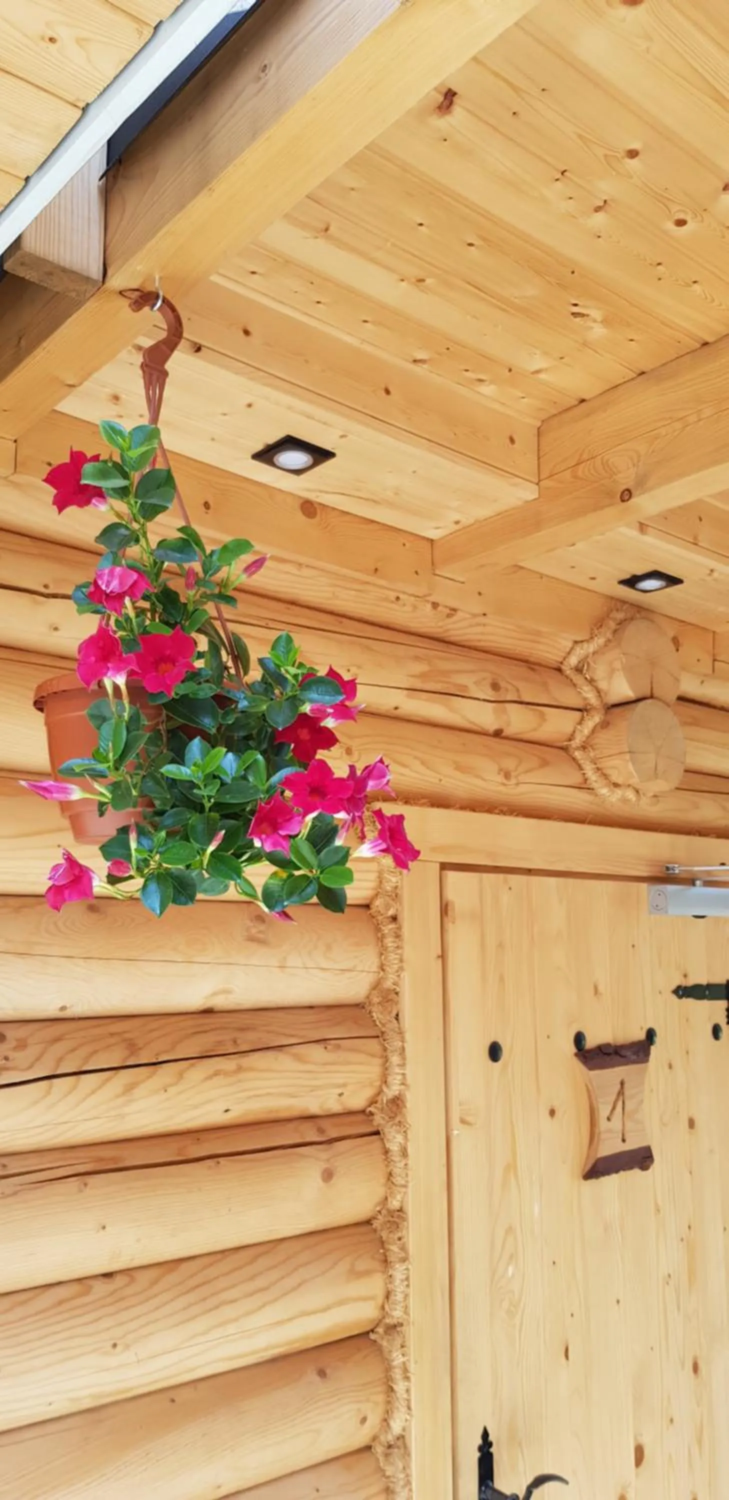 Decorative detail in Cicha Polana