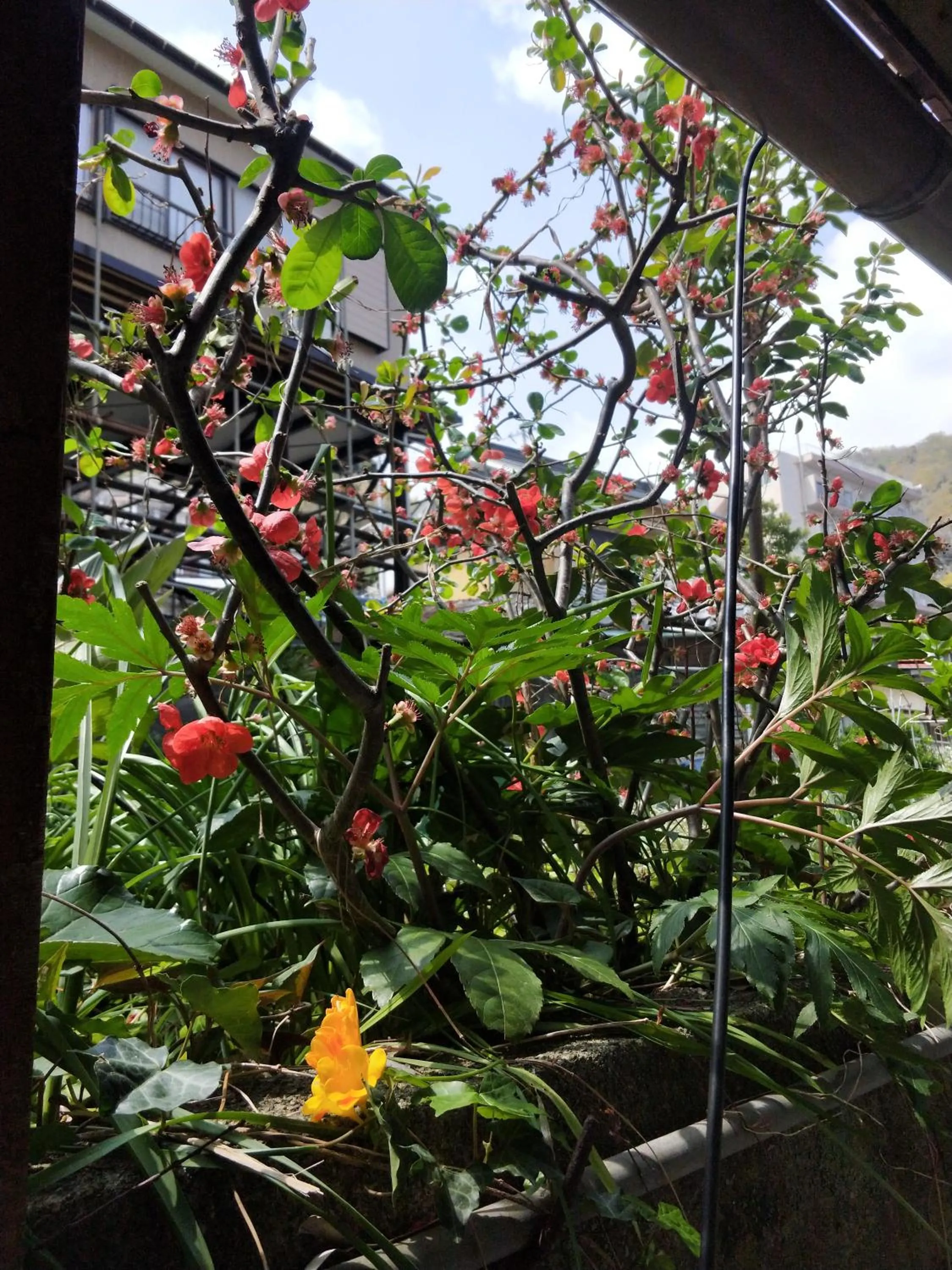 Izu Hokkawa Seaside Guesthouse 伊豆北川の家