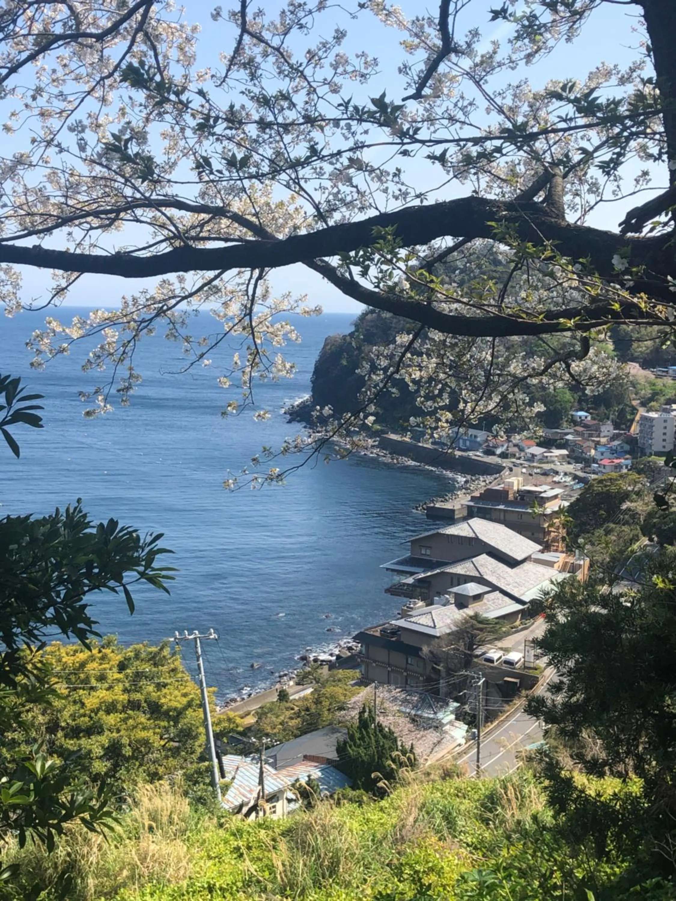 Izu Hokkawa Seaside Guesthouse 伊豆北川の家
