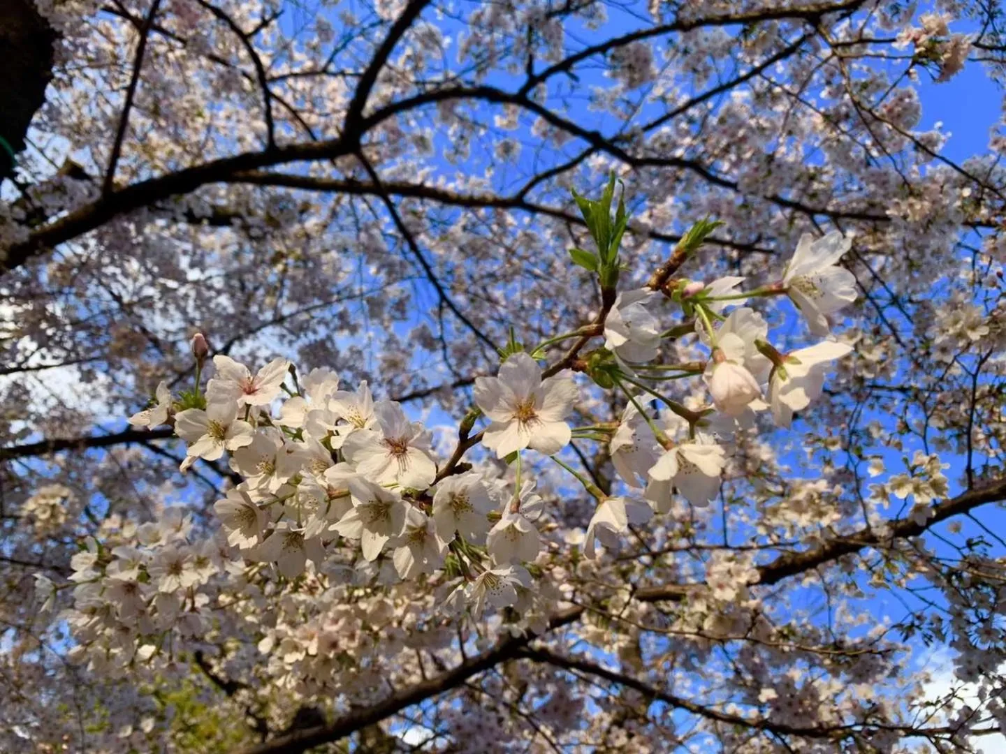Izu Hokkawa Seaside Guesthouse 伊豆北川の家
