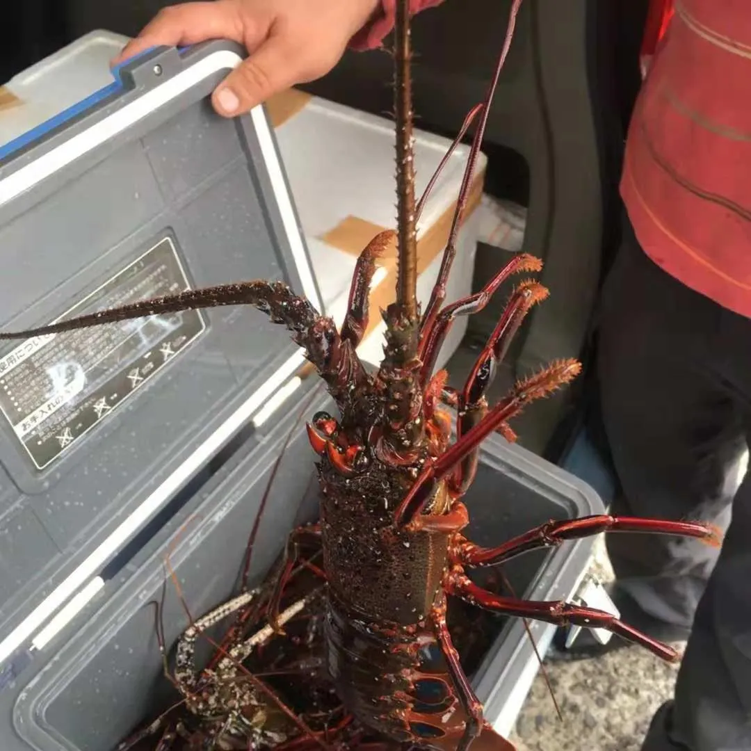 Izu Hokkawa Seaside Guesthouse 伊豆北川の家