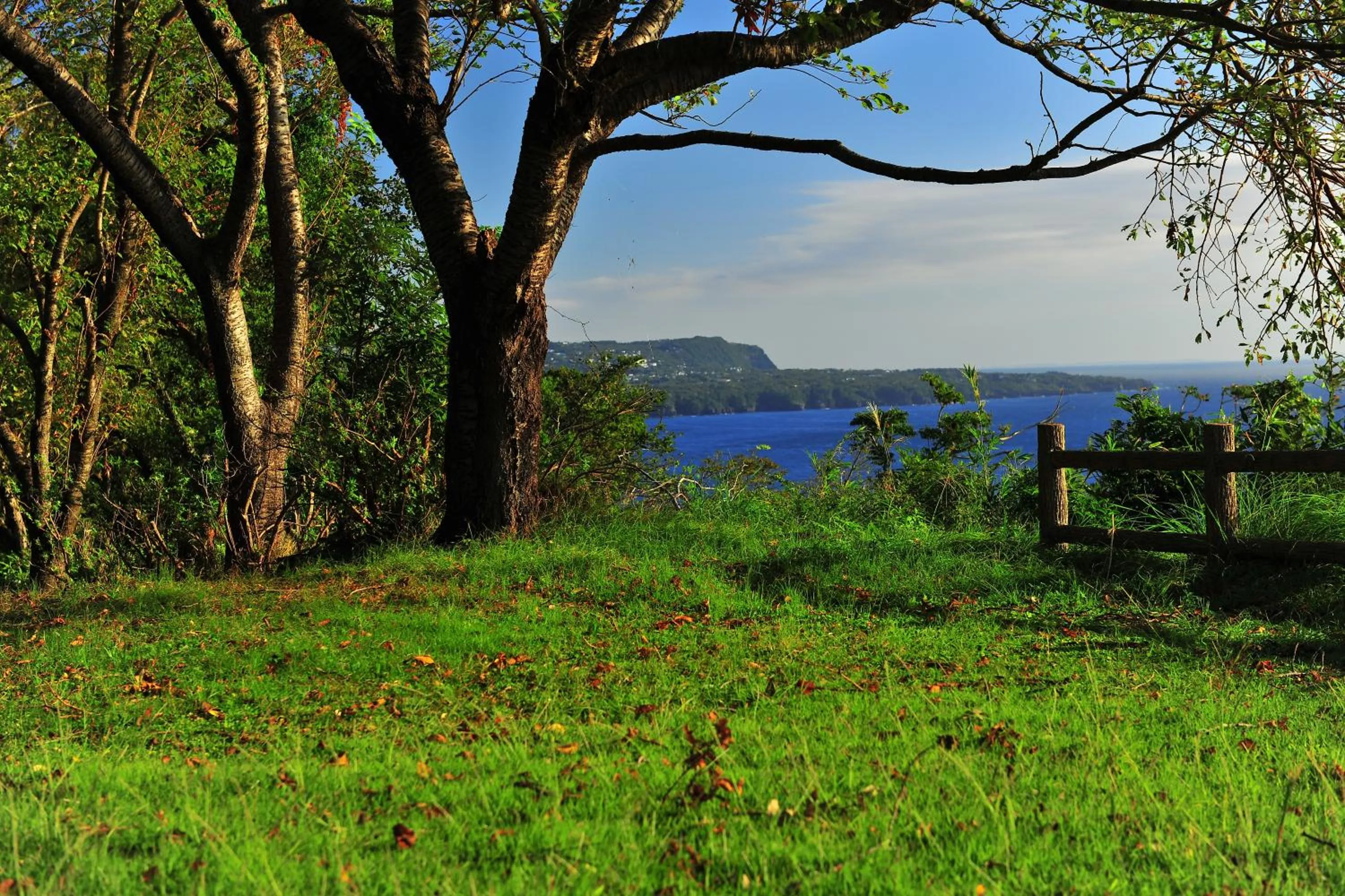 Izu Hokkawa Seaside Guesthouse 伊豆北川の家