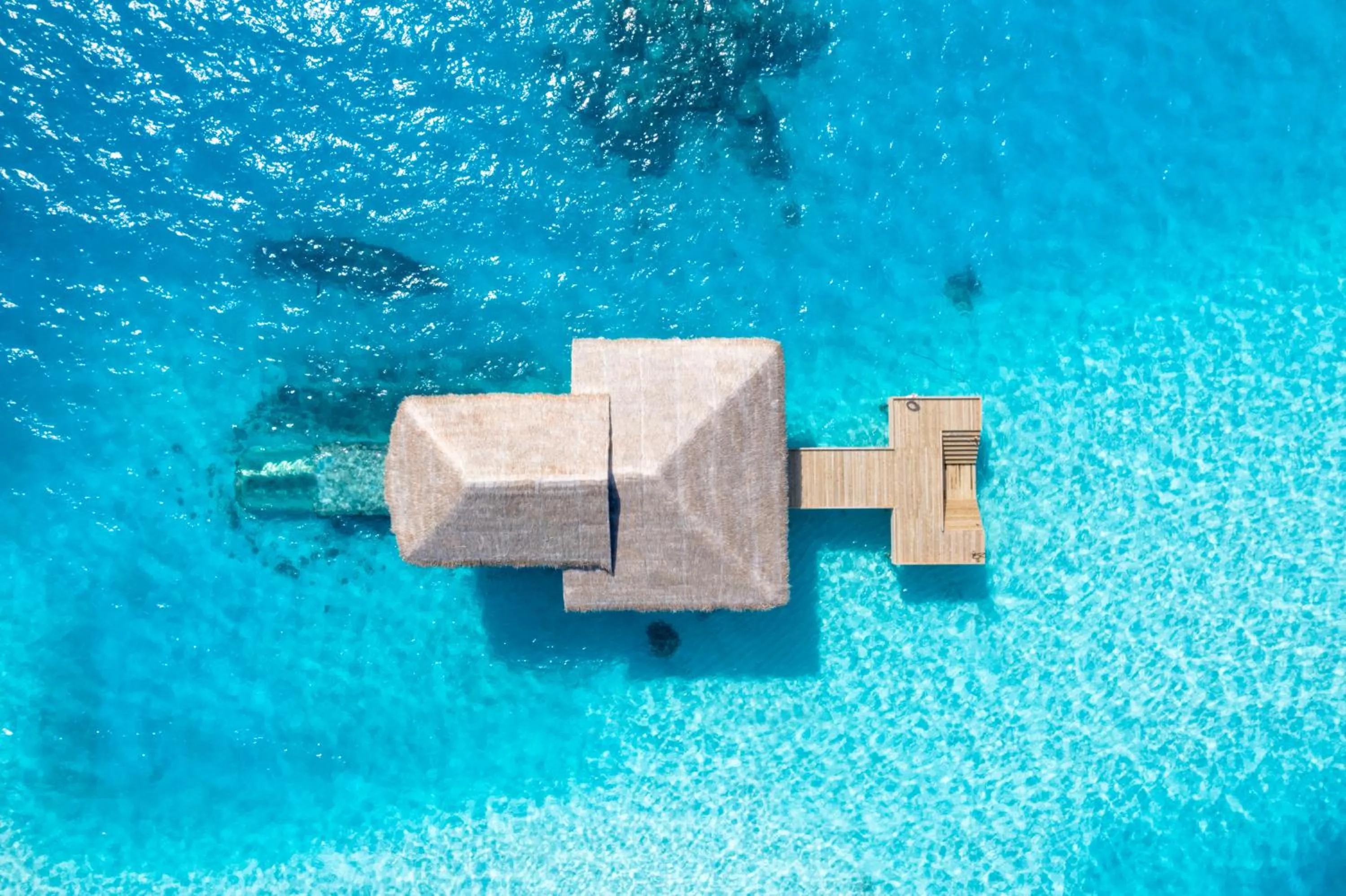 Restaurant/places to eat in You & Me Maldives - Adults Only - Premium All-Inclusive