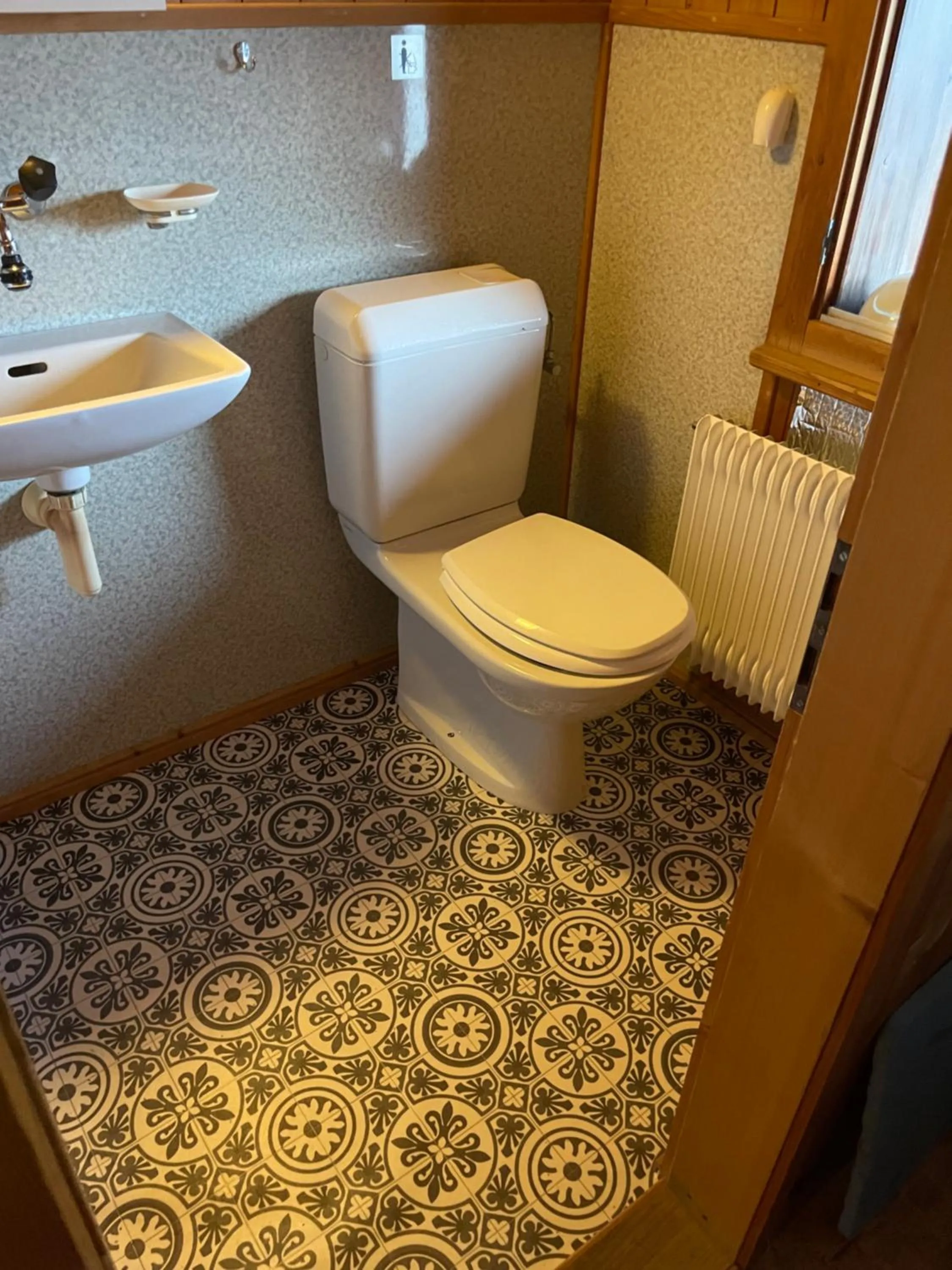 Toilet in Gästehaus Alpina in Fanas