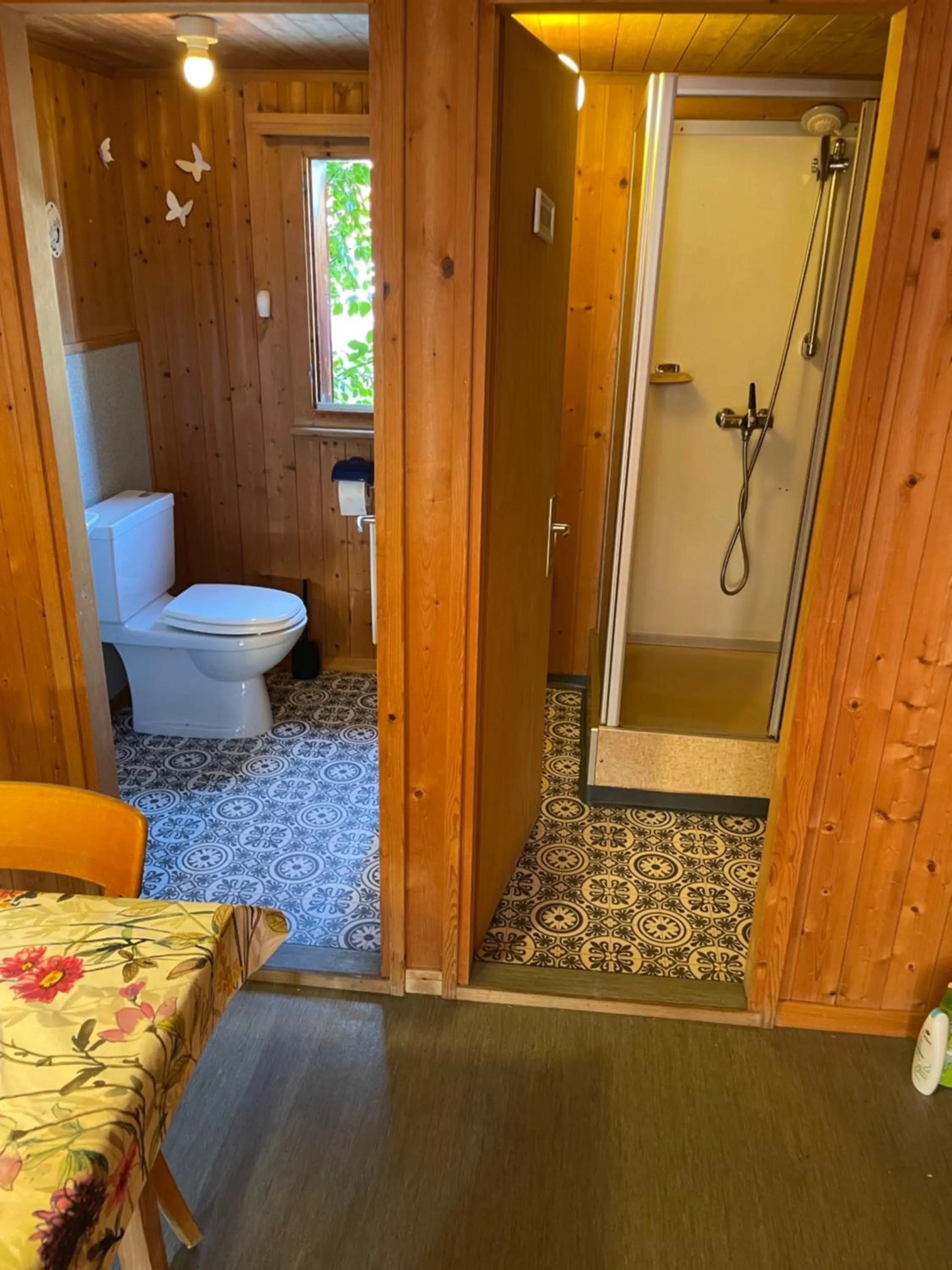 Shower in Gästehaus Alpina in Fanas