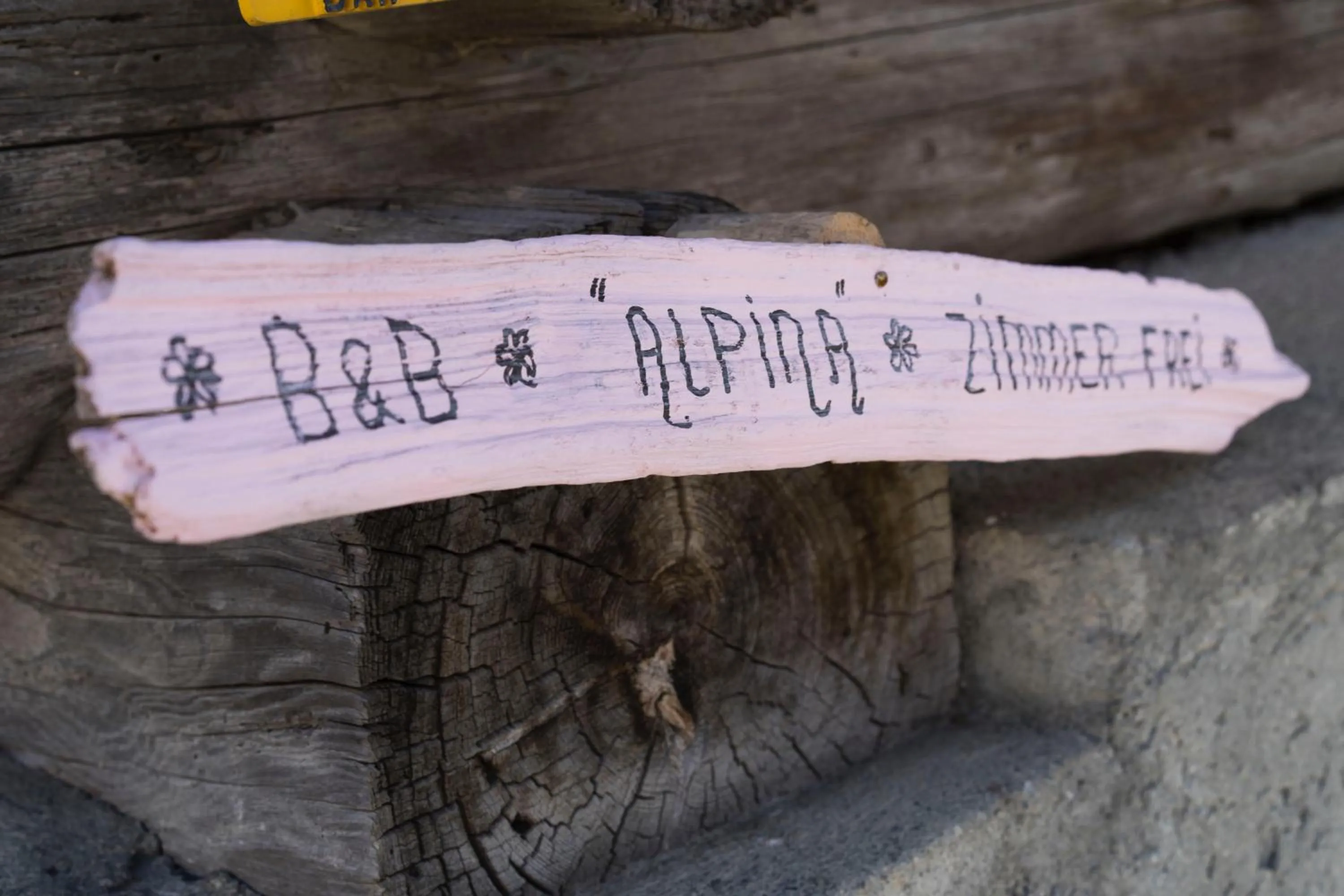 Area and facilities in Gästehaus Alpina in Fanas