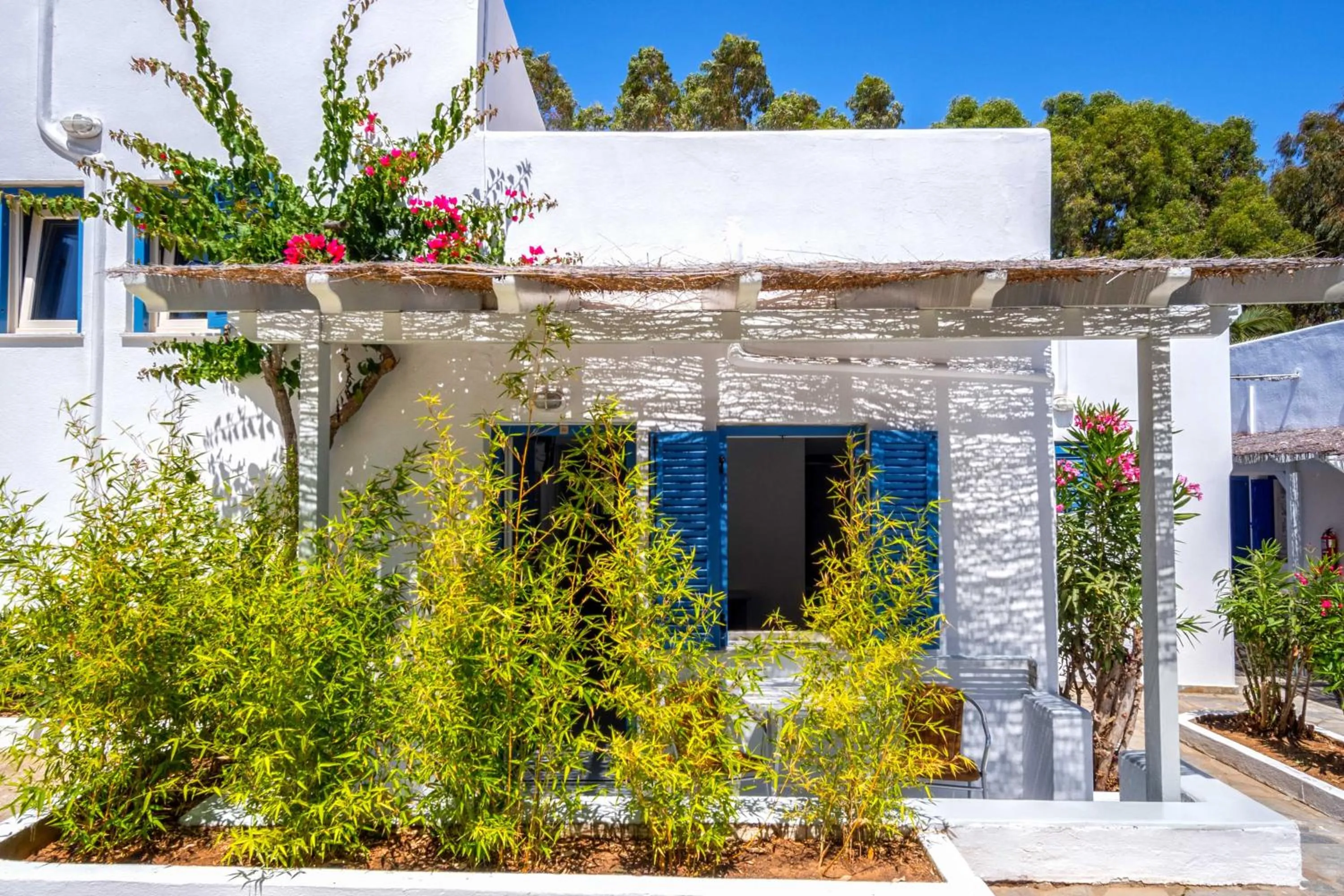 Garden view in Coralli Seaside Resort