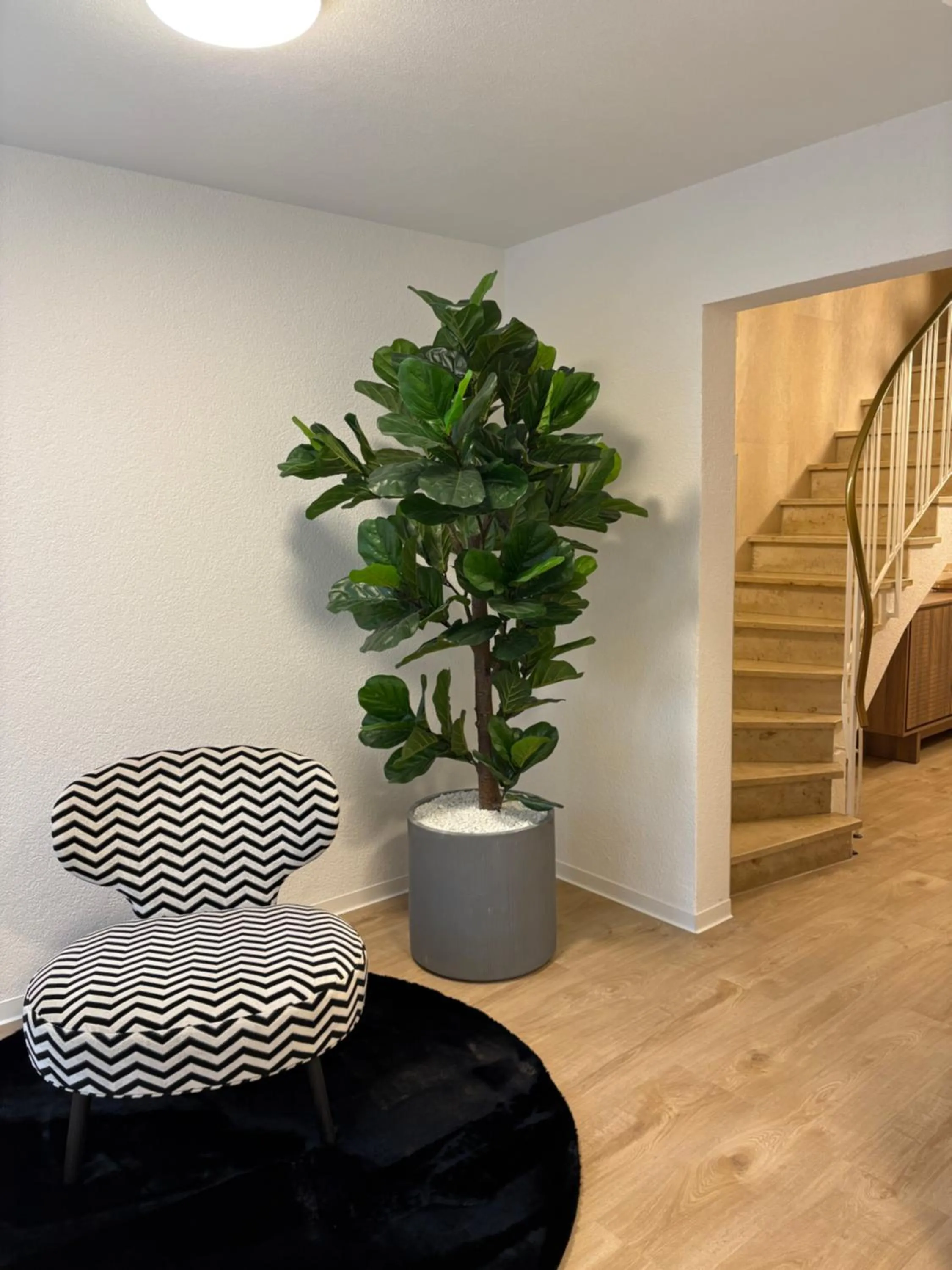 Facade/entrance in Das Mühlentor Hotel