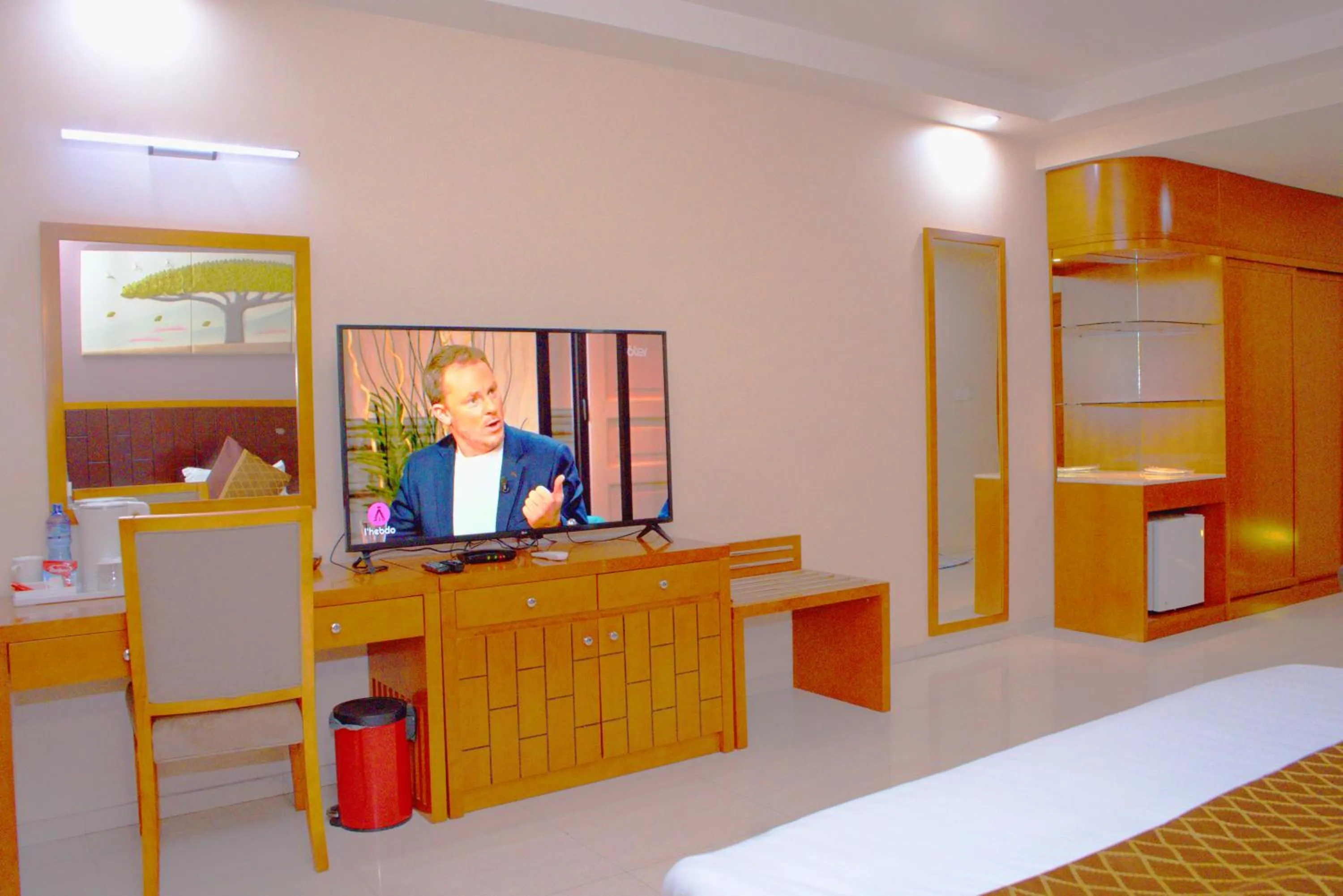 TV and multimedia in HOTEL PLATINUM