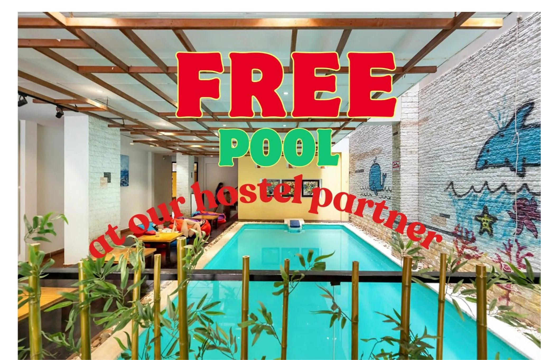 Backhome Hostel & Bar