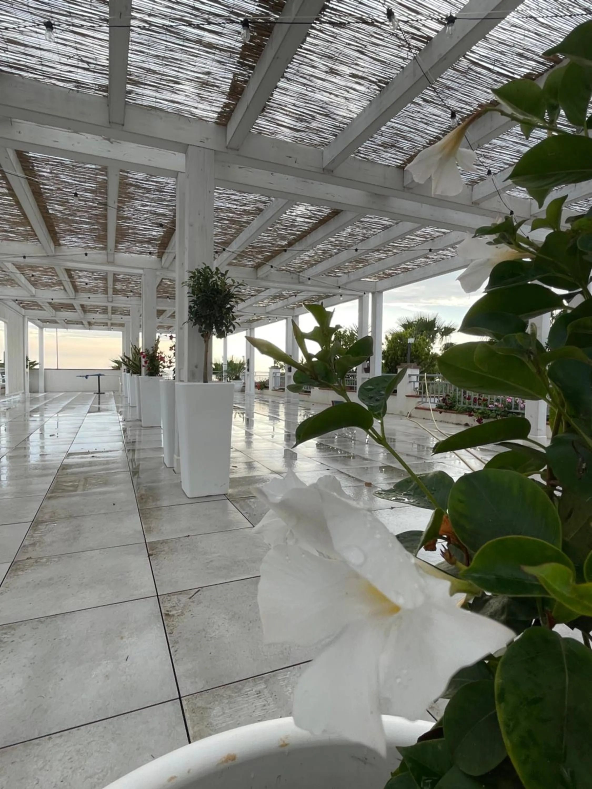 Balcony/Terrace in Suite Hotel Dominicus