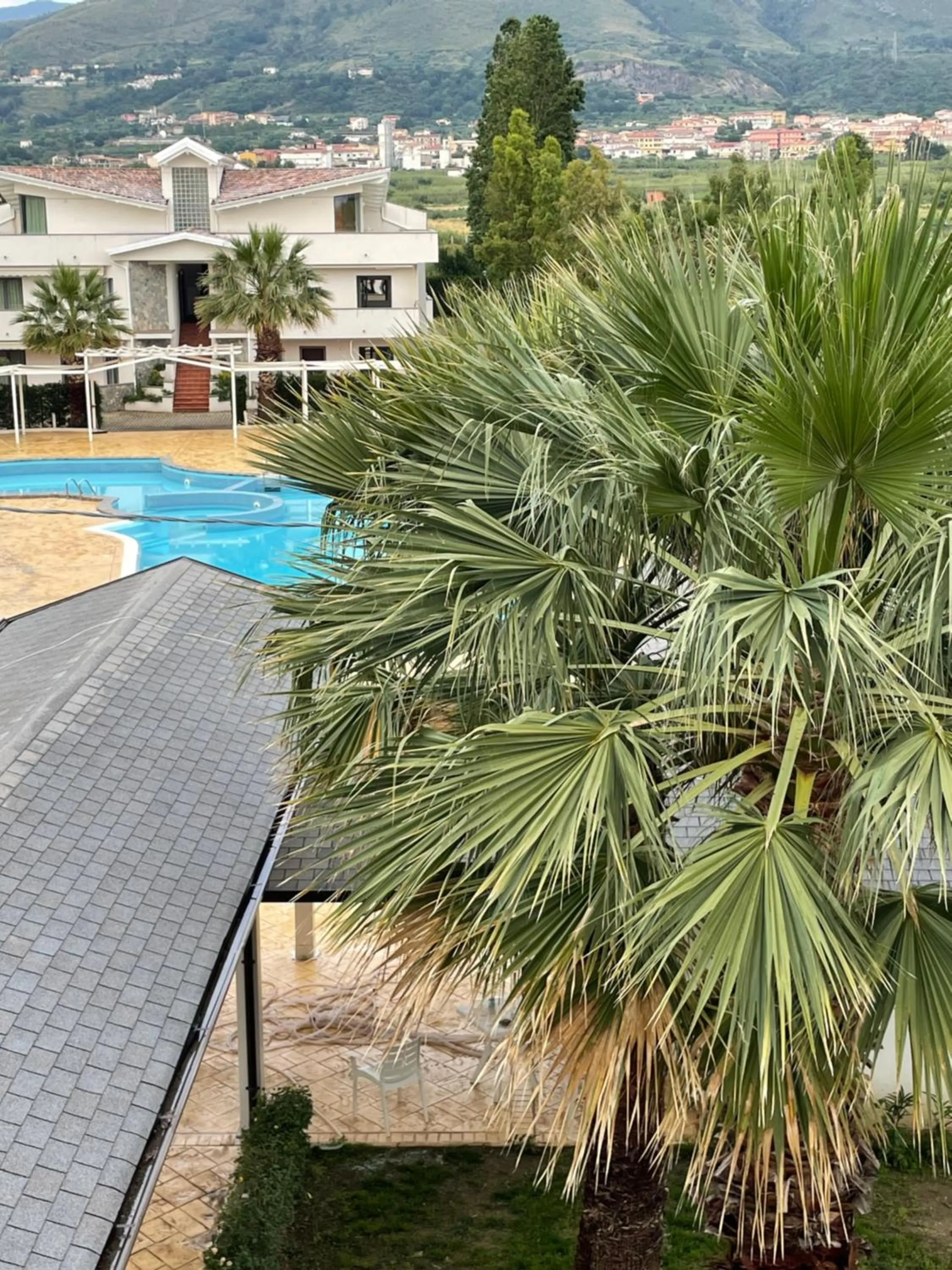 Pool view in Suite Hotel Dominicus
