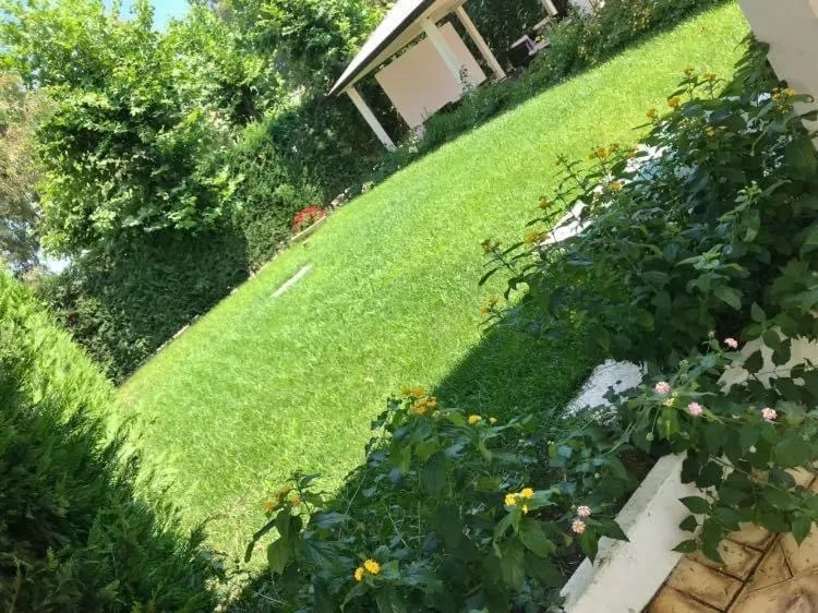 Suite Hotel Dominicus