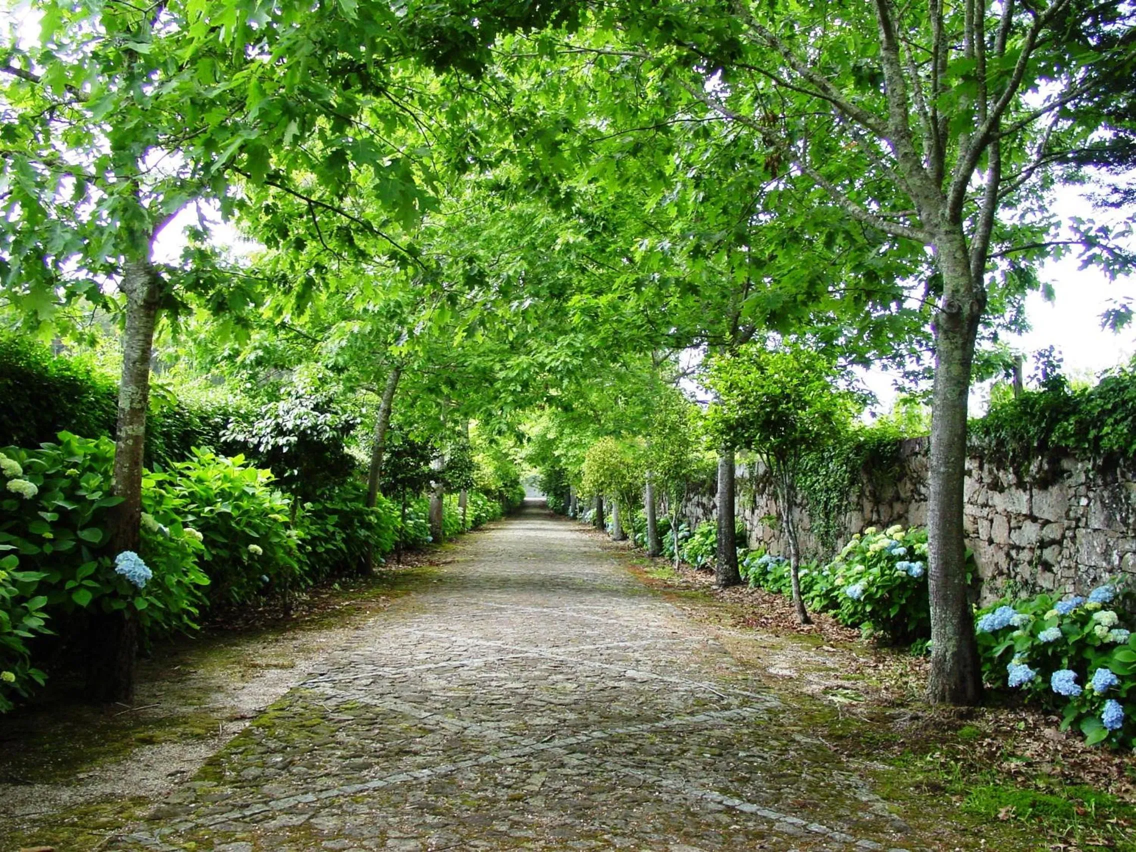 Facade/entrance in Casa da Lage