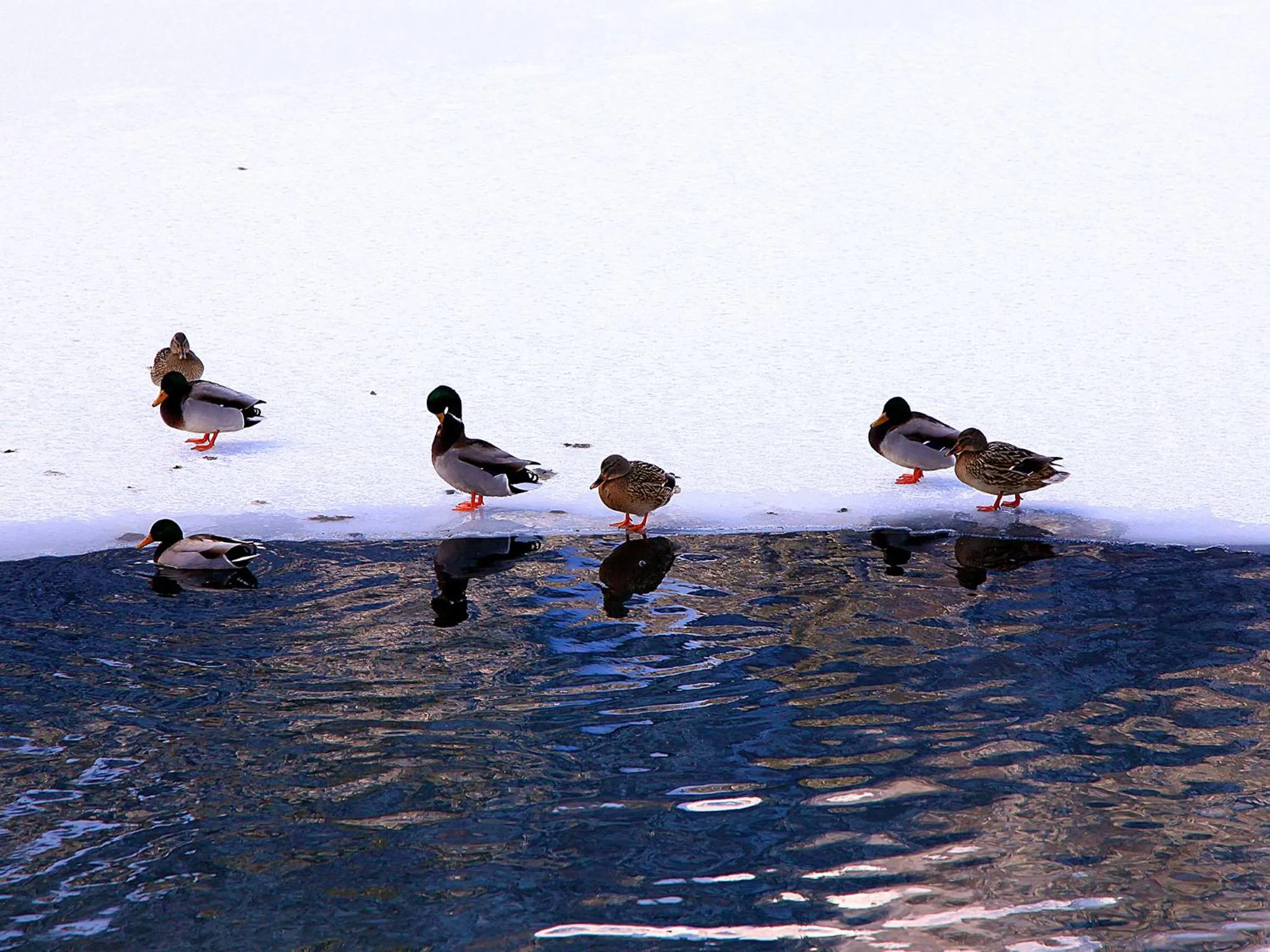 Facade/entrance in Inanlar Deluxe Hotel & Bungalow