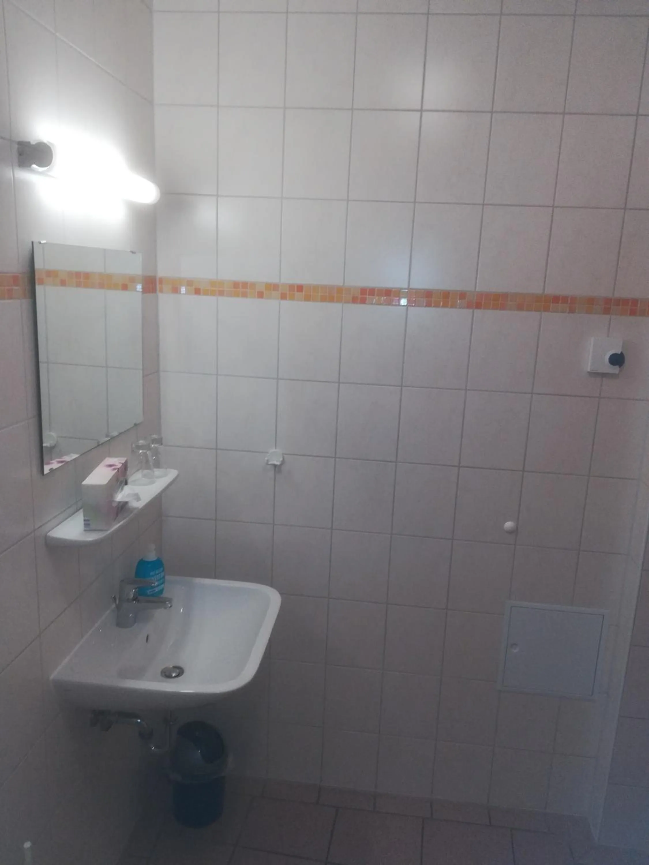 Property building in Hotel Altes Salzamt