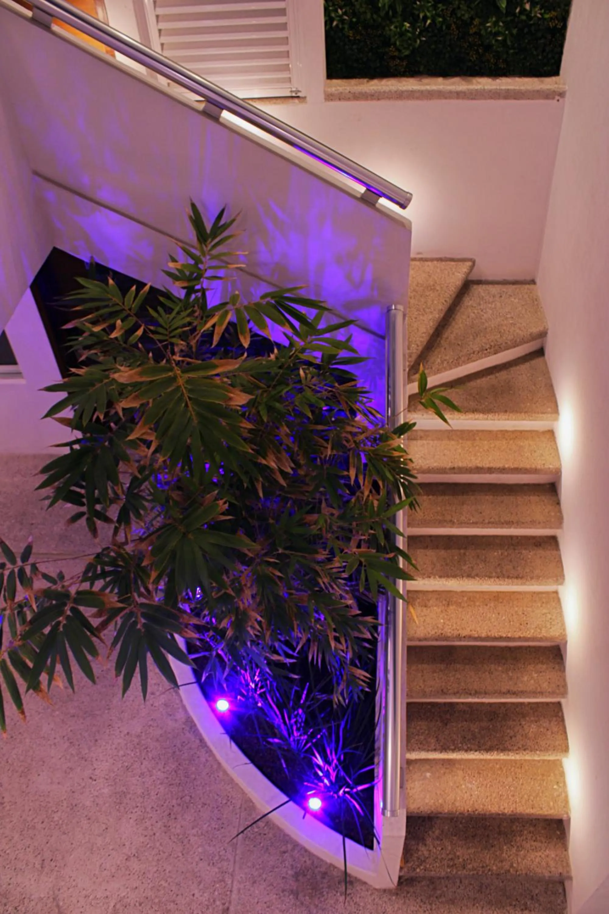 Property building in Hotel Star