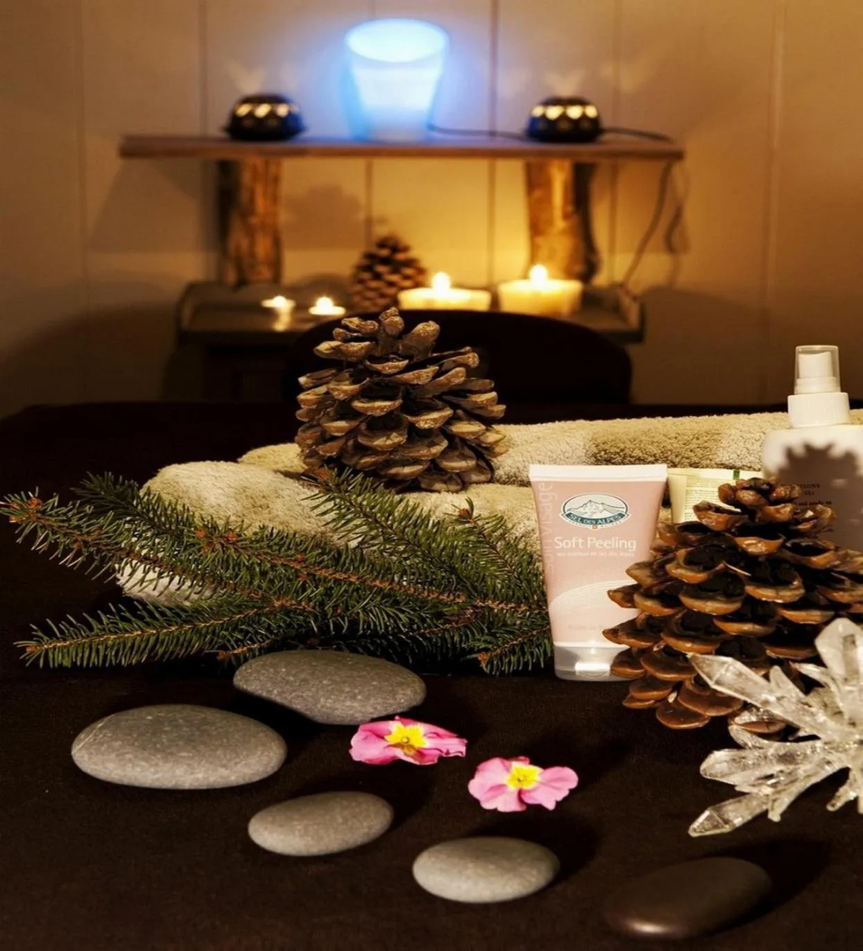 Decorative detail in Residence Hôtelière La Renardiere