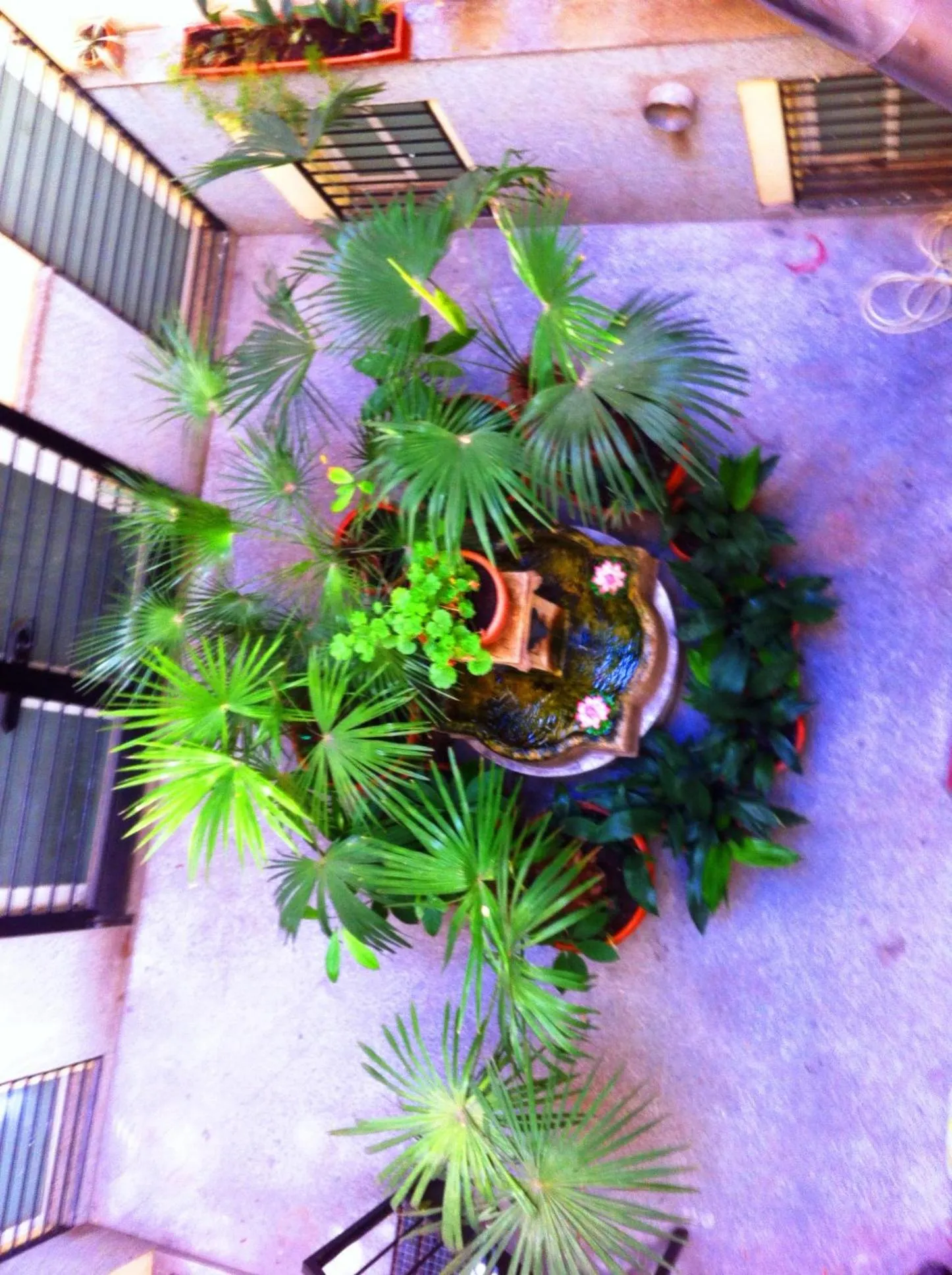 View (from property/room) in Hostal La Fontana