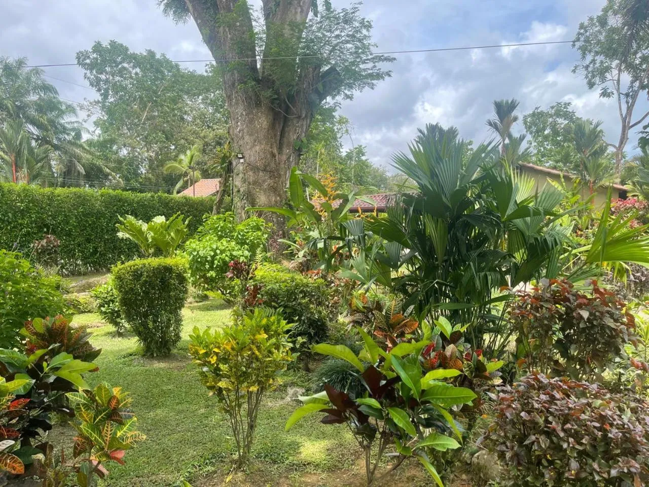 Natural landscape in La Foresta Nature Resort