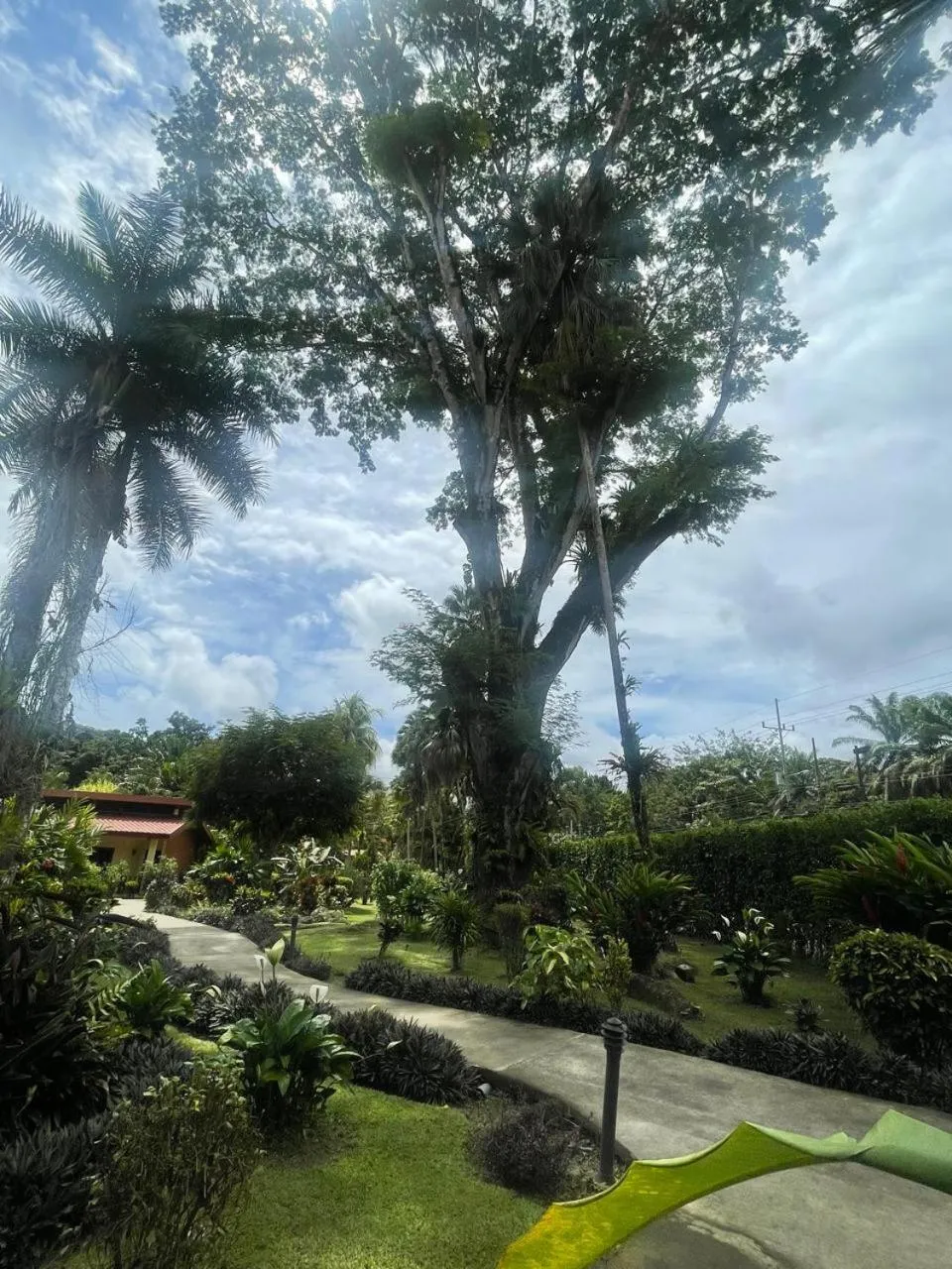 Garden in La Foresta Nature Resort