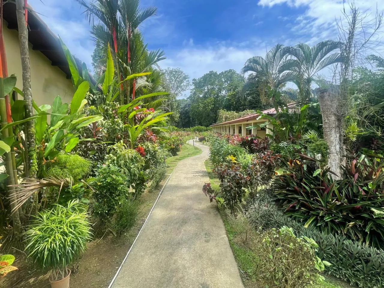 Garden in La Foresta Nature Resort