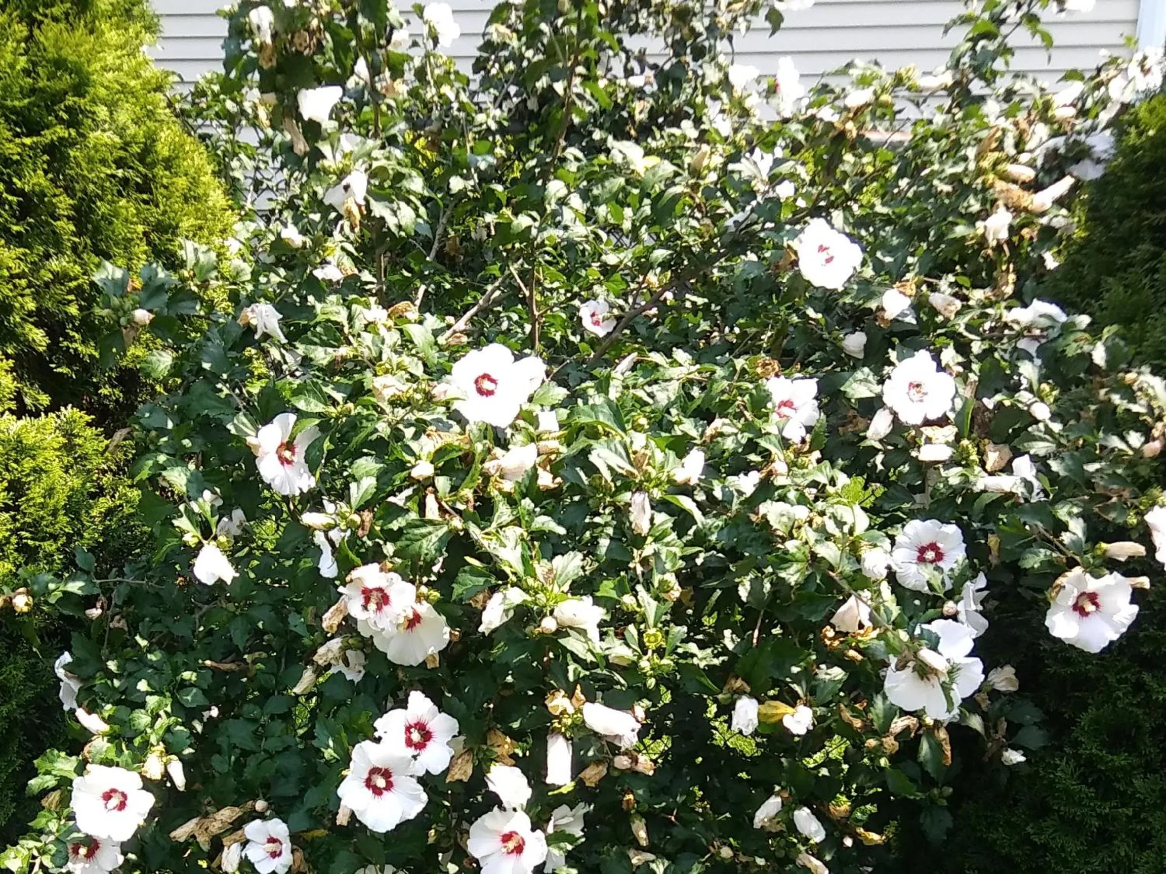 Bird's-eye View in President Inn & Suites