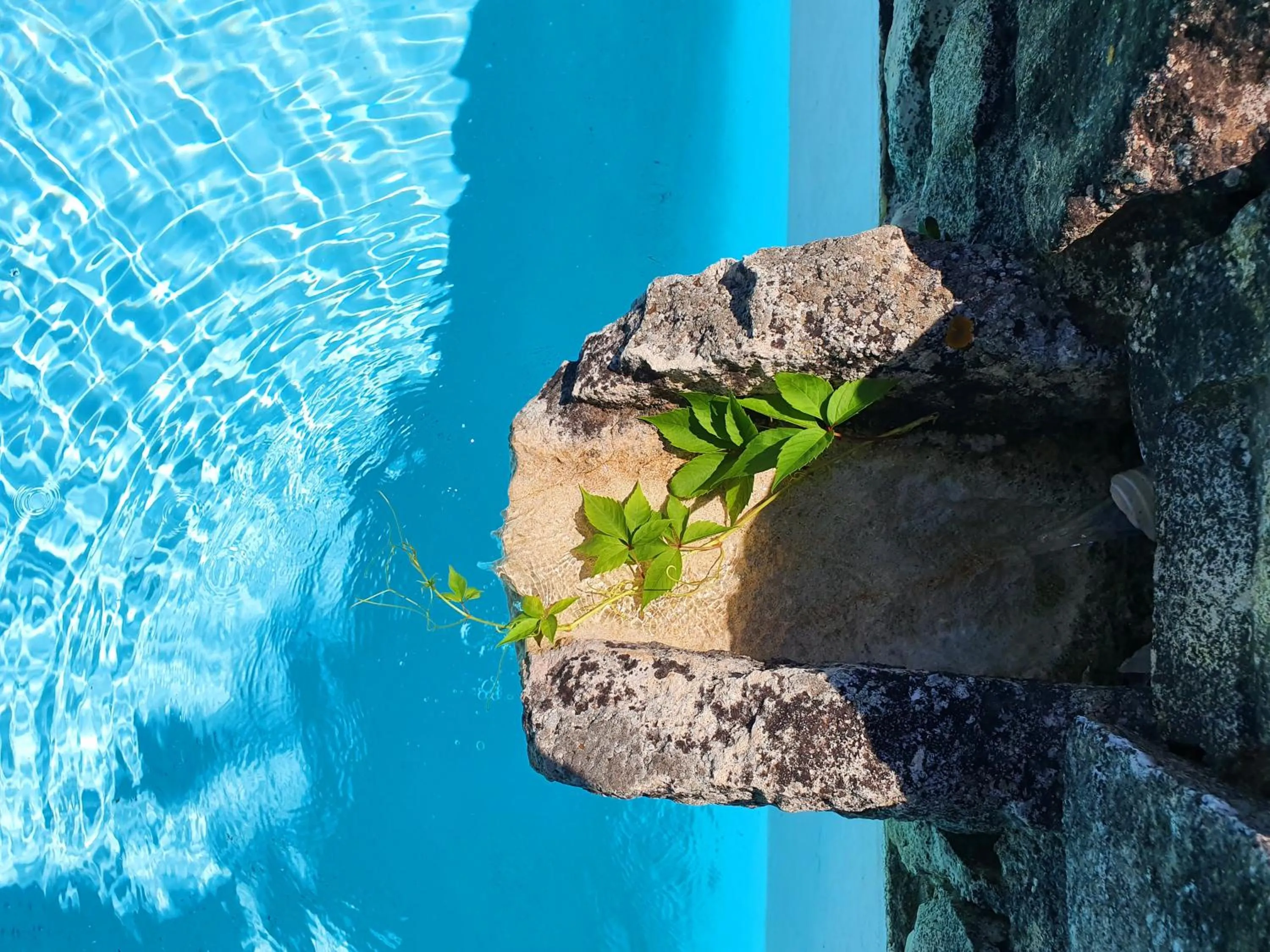 Swimming pool in Les Logis de Paban