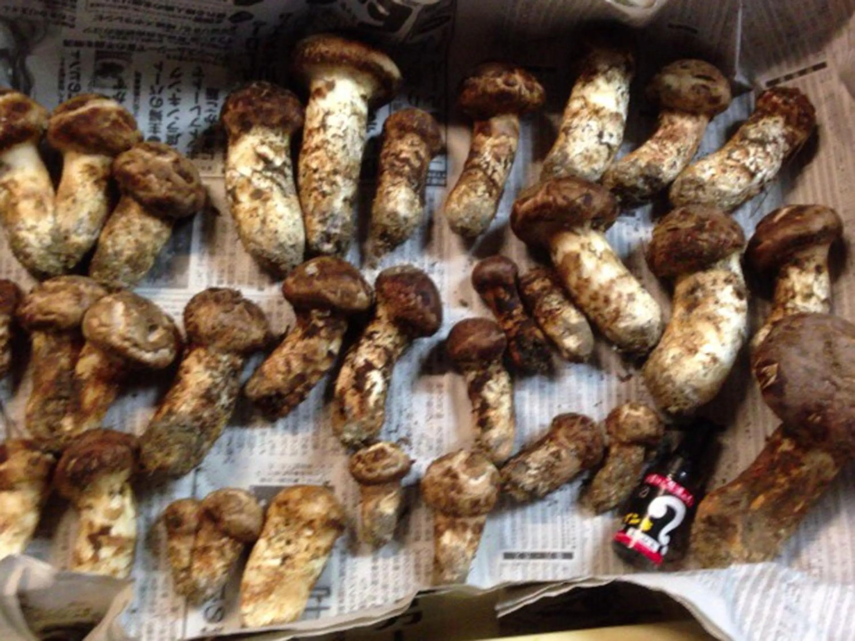 Food close-up in Masuya Ryokan