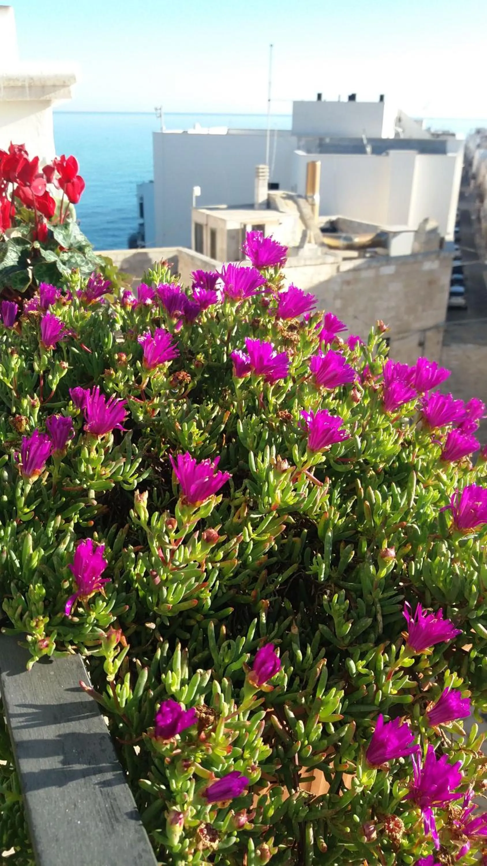 Sea view in Tra le Mura