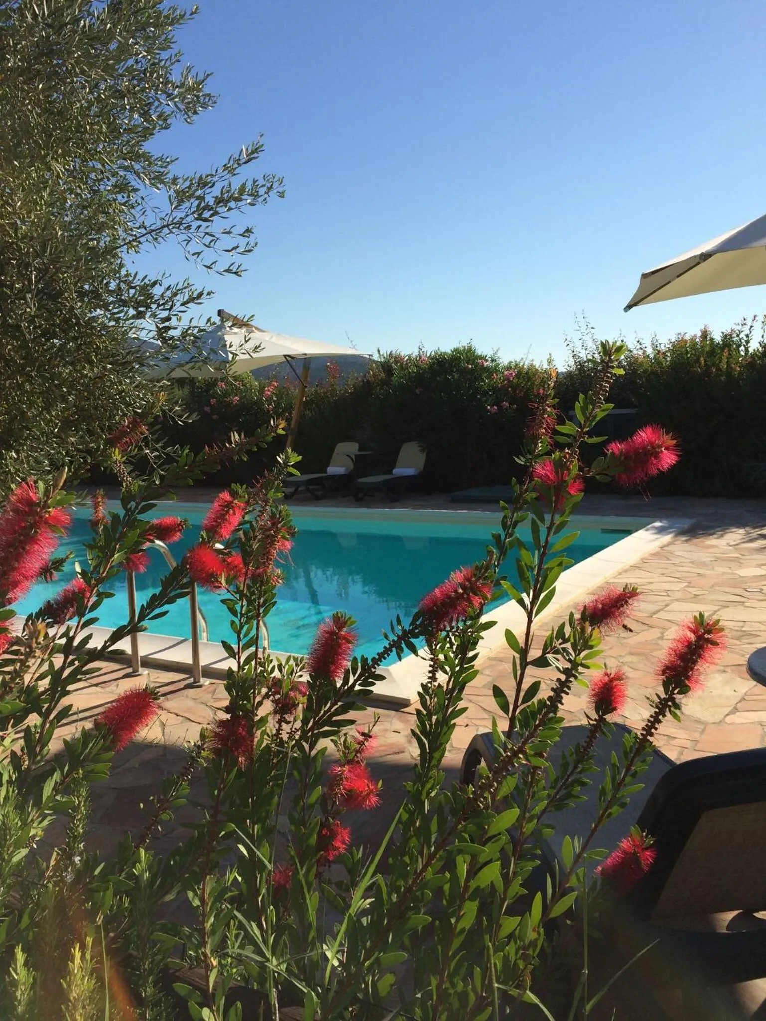 Garden in Agriturismo - B&B L'Acquacotta