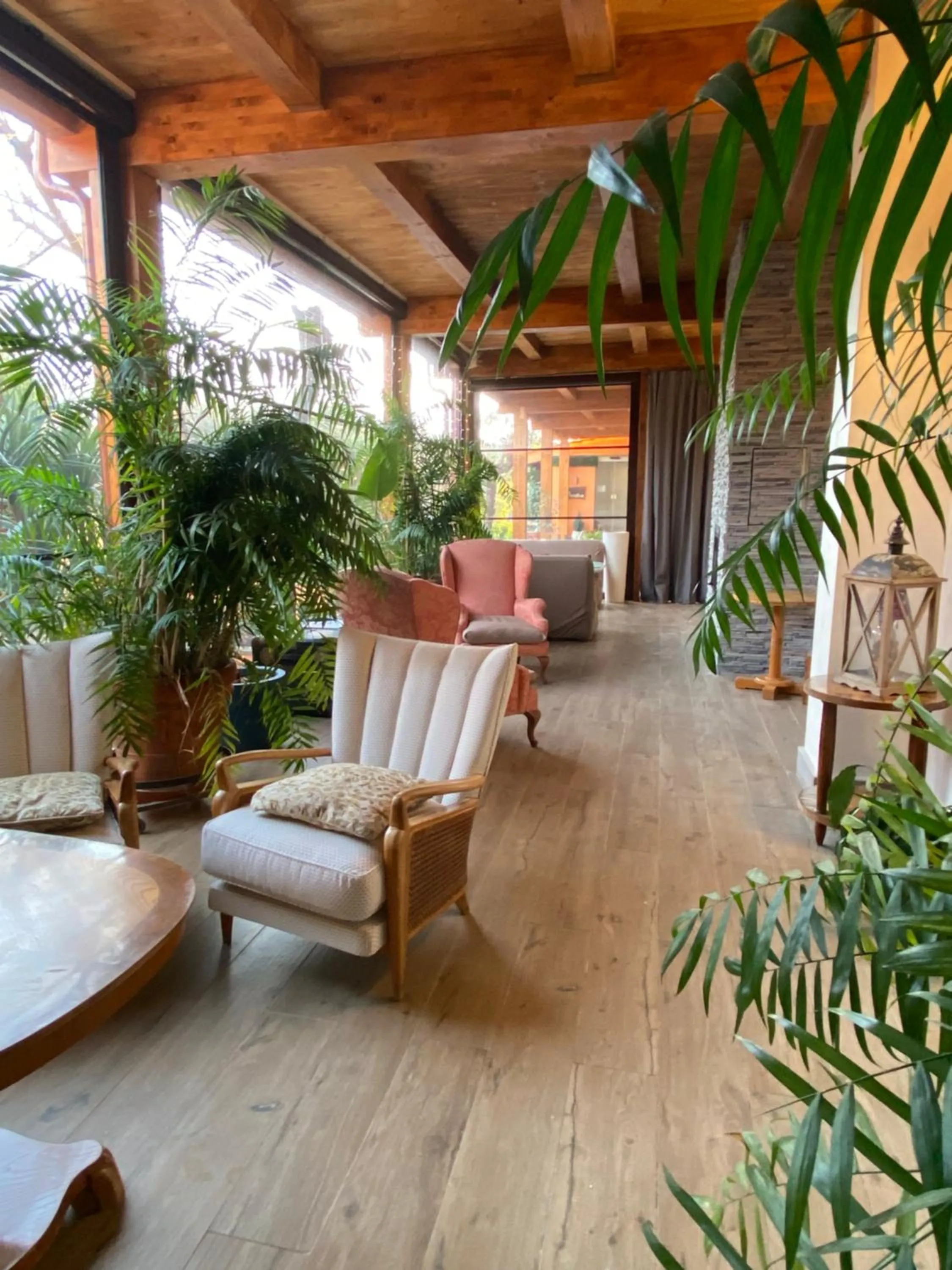 Patio in Antica Locanda Palmieri