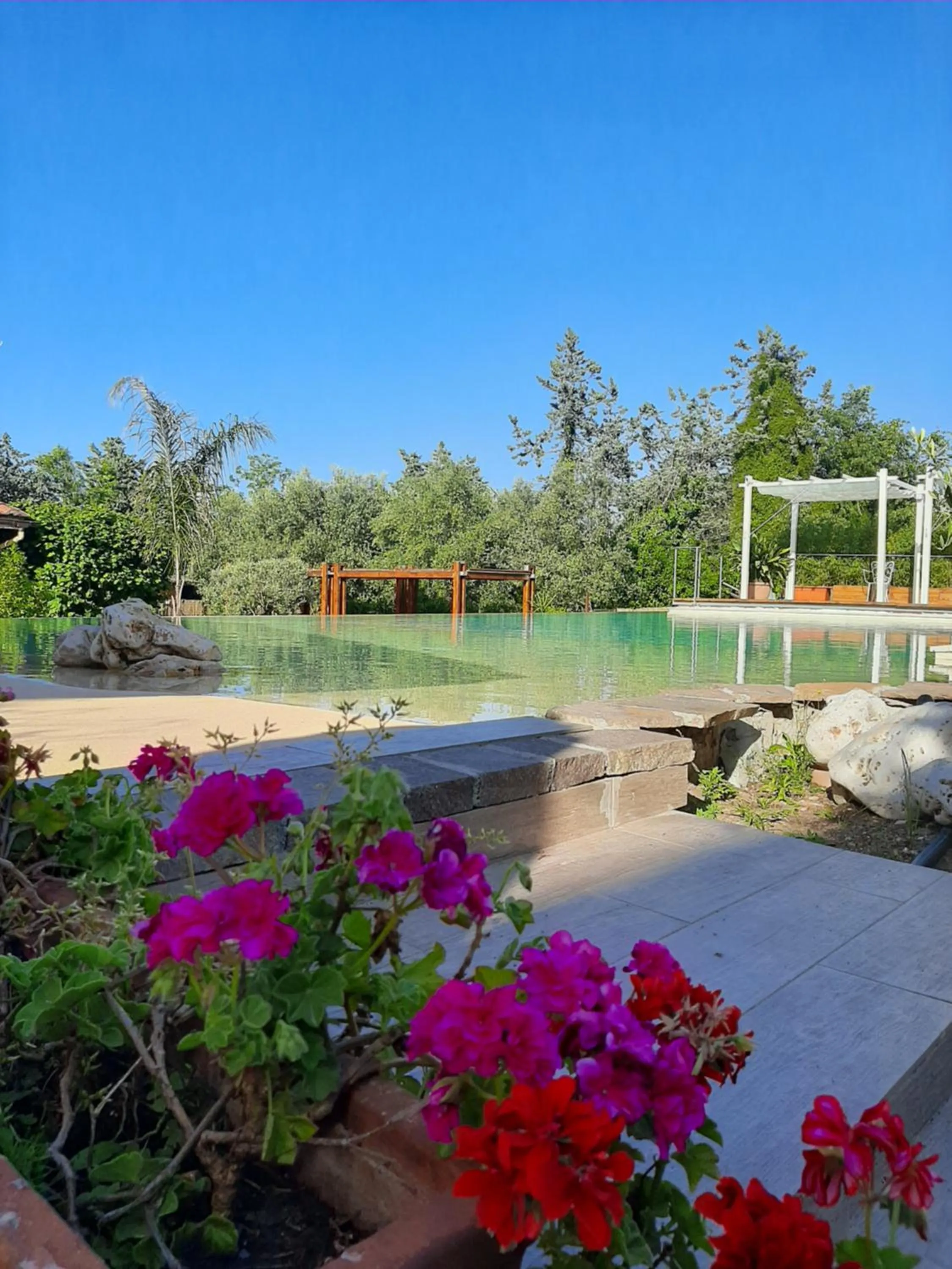 Swimming pool in Antica Locanda Palmieri