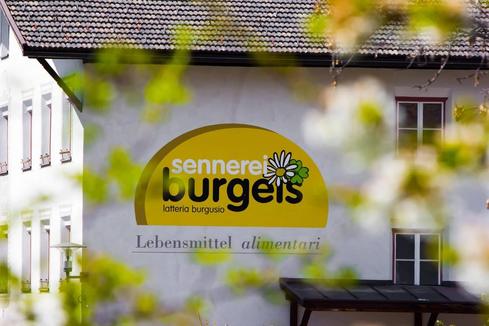 Supermarket/grocery shop in Burgus - Design Suites & Apartments