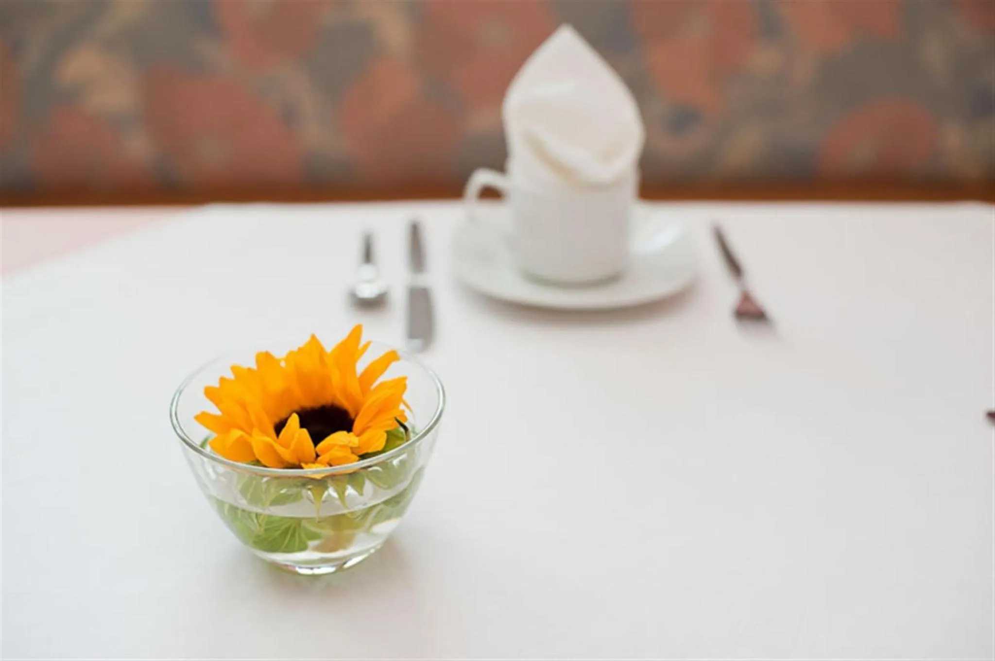 Food and drinks in Burgus - Design Suites & Apartments